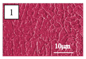 Coatings 13 01806 i026