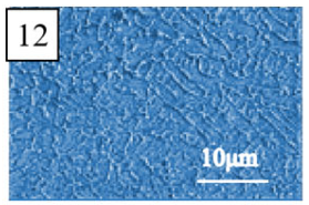 Coatings 13 01806 i037