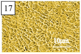 Coatings 13 01806 i042