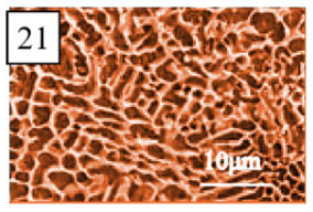 Coatings 13 01806 i046