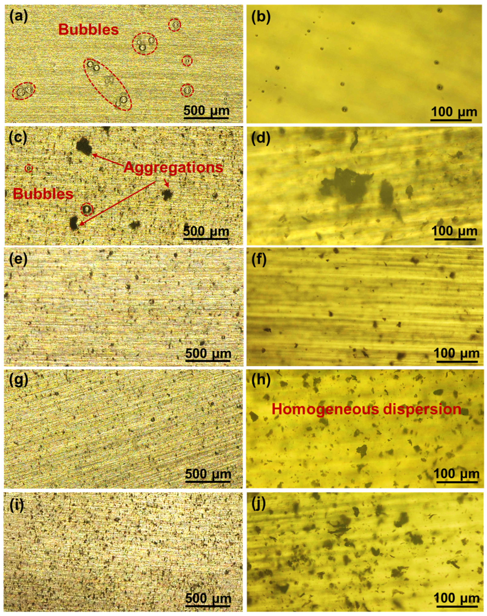 Coatings 13 01809 g005