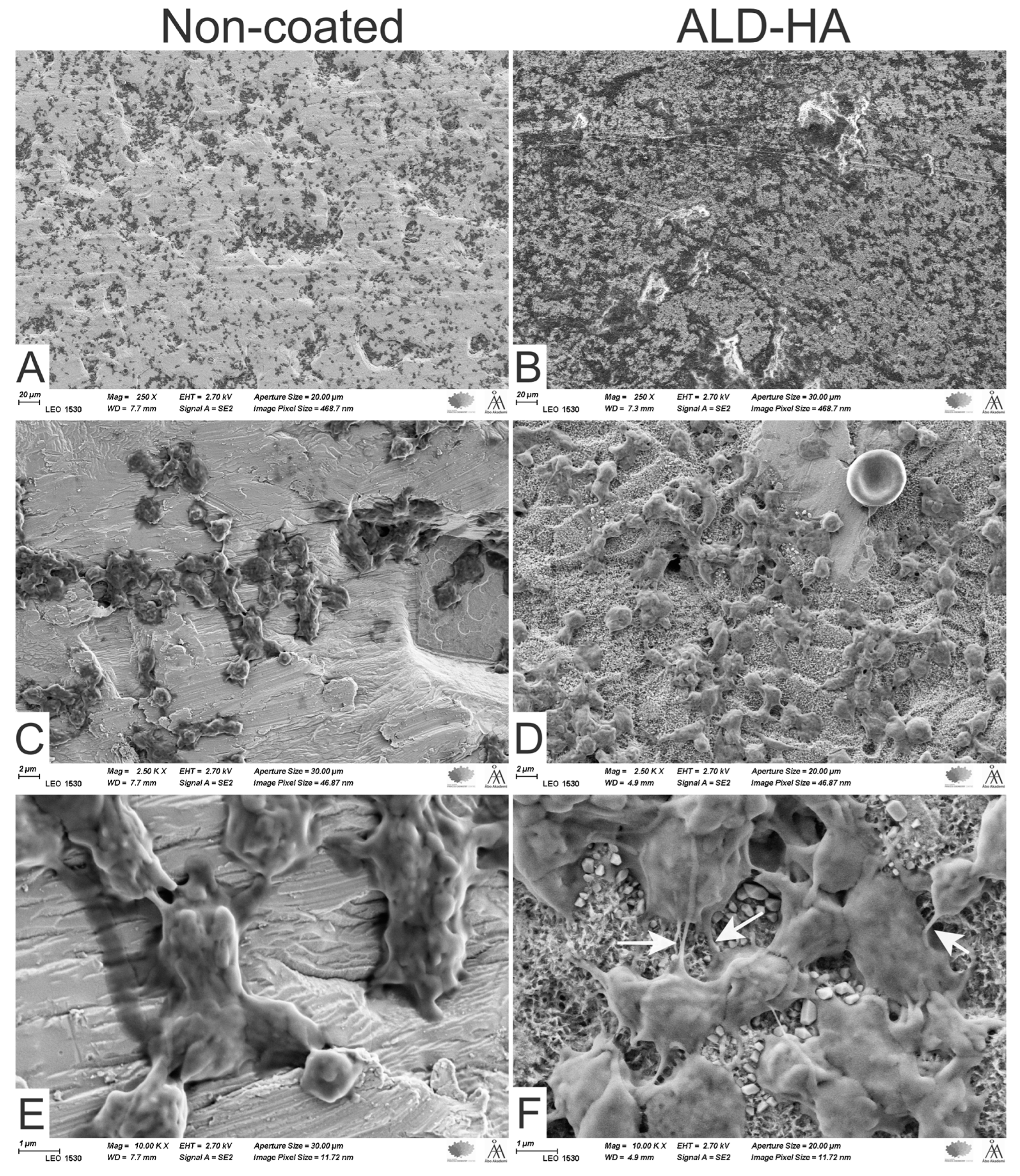 Coatings 13 01810 g007