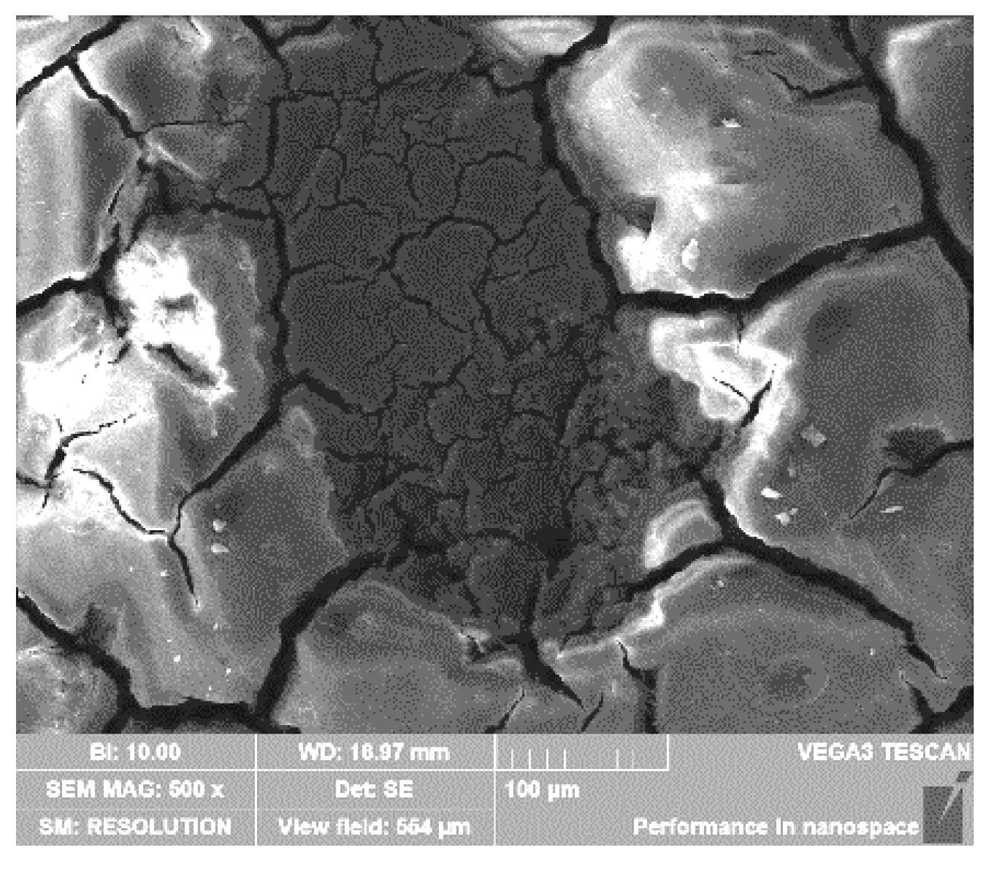 Coatings 13 01812 g010