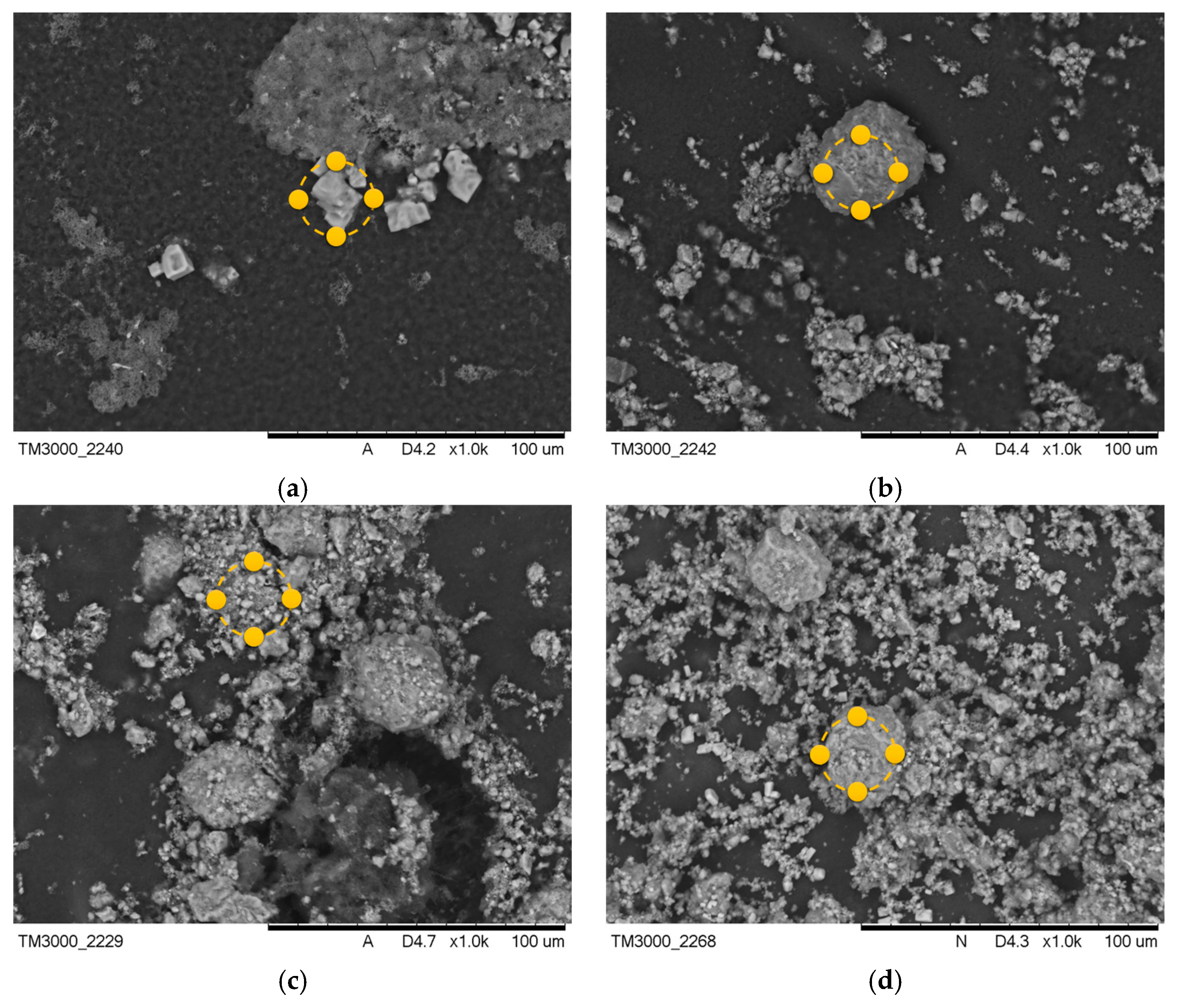 Coatings 13 01813 g005