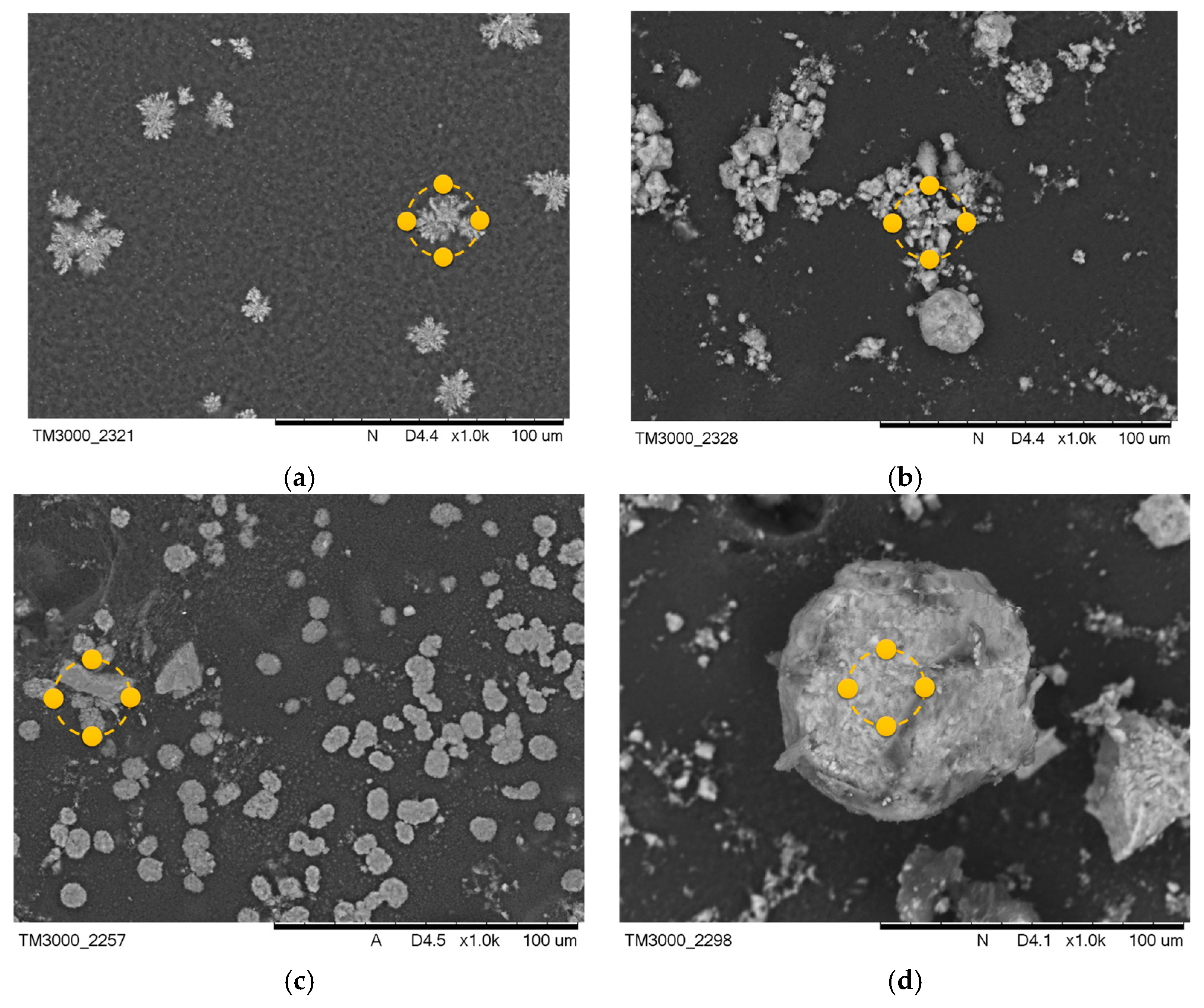 Coatings 13 01813 g006