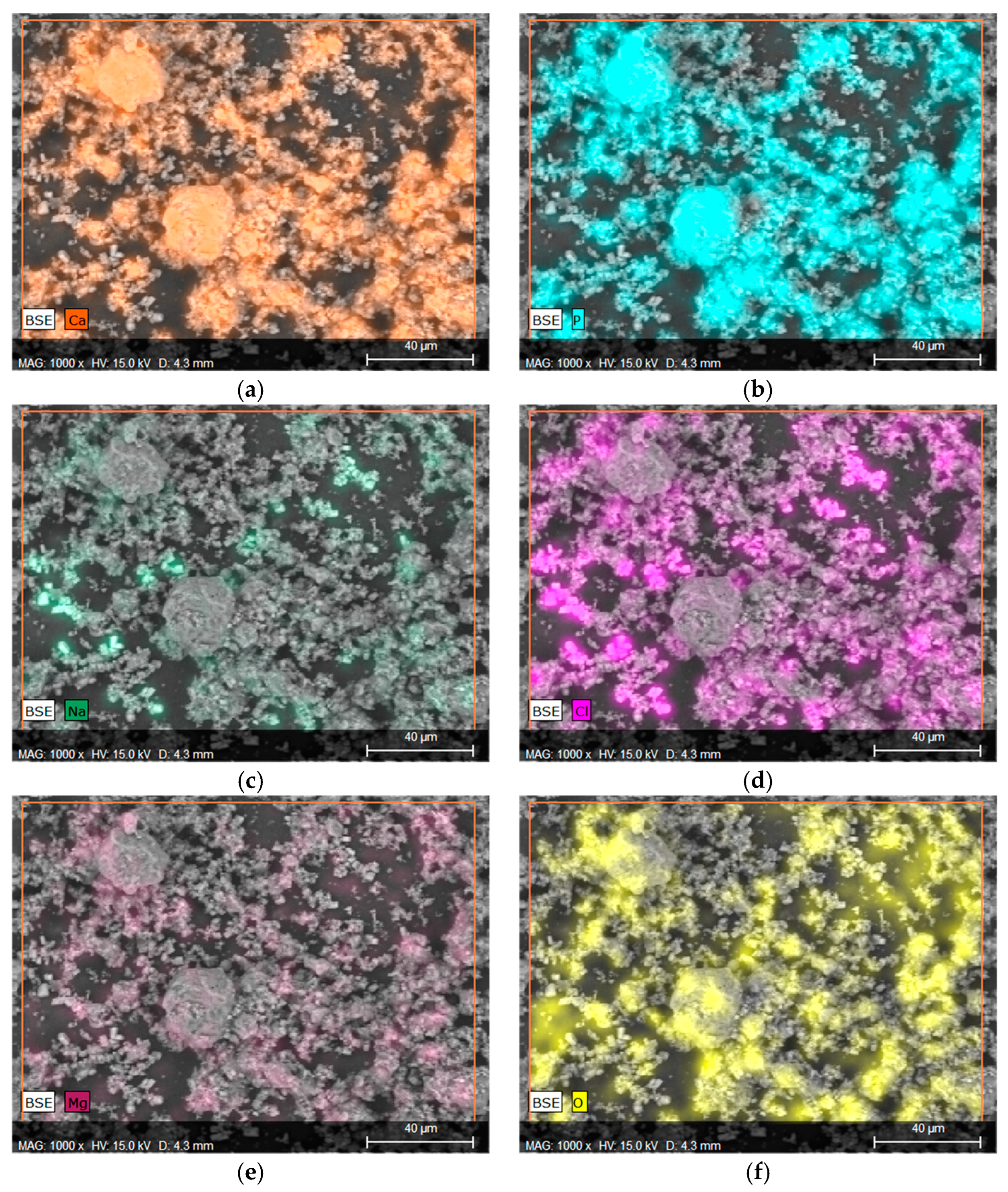 Coatings 13 01813 g007