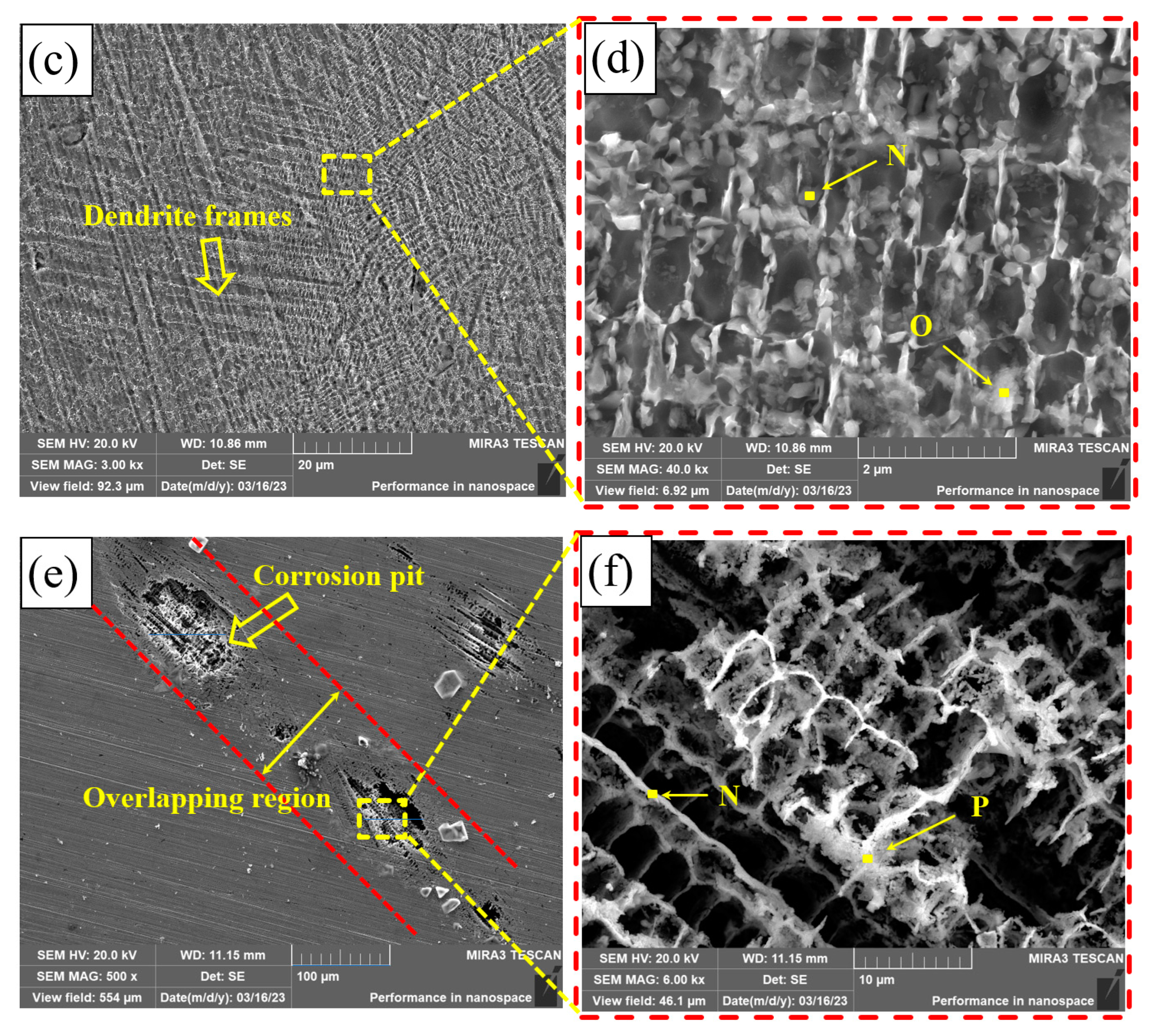 Coatings 13 01819 g013b