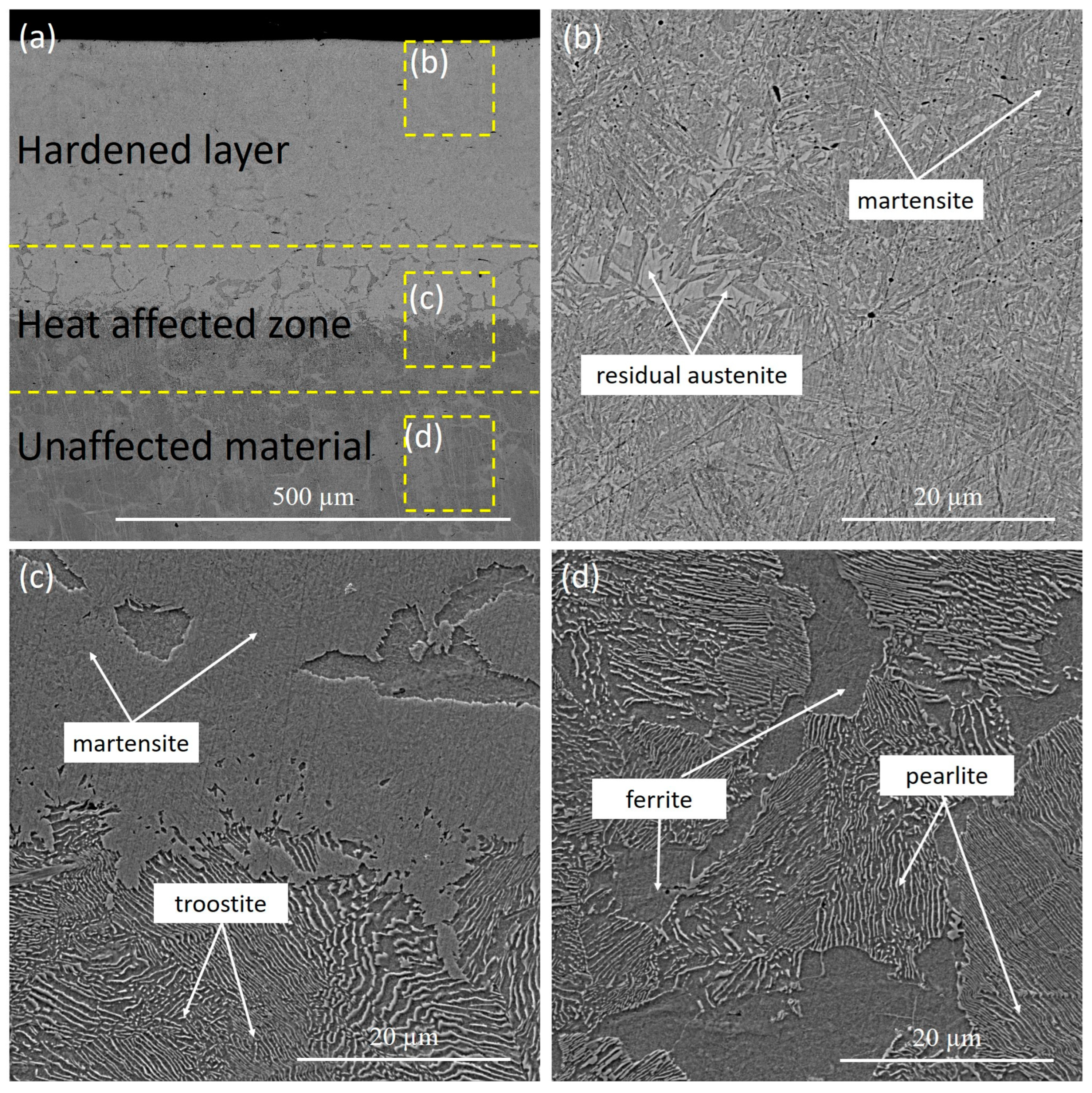 Coatings 13 01820 g003