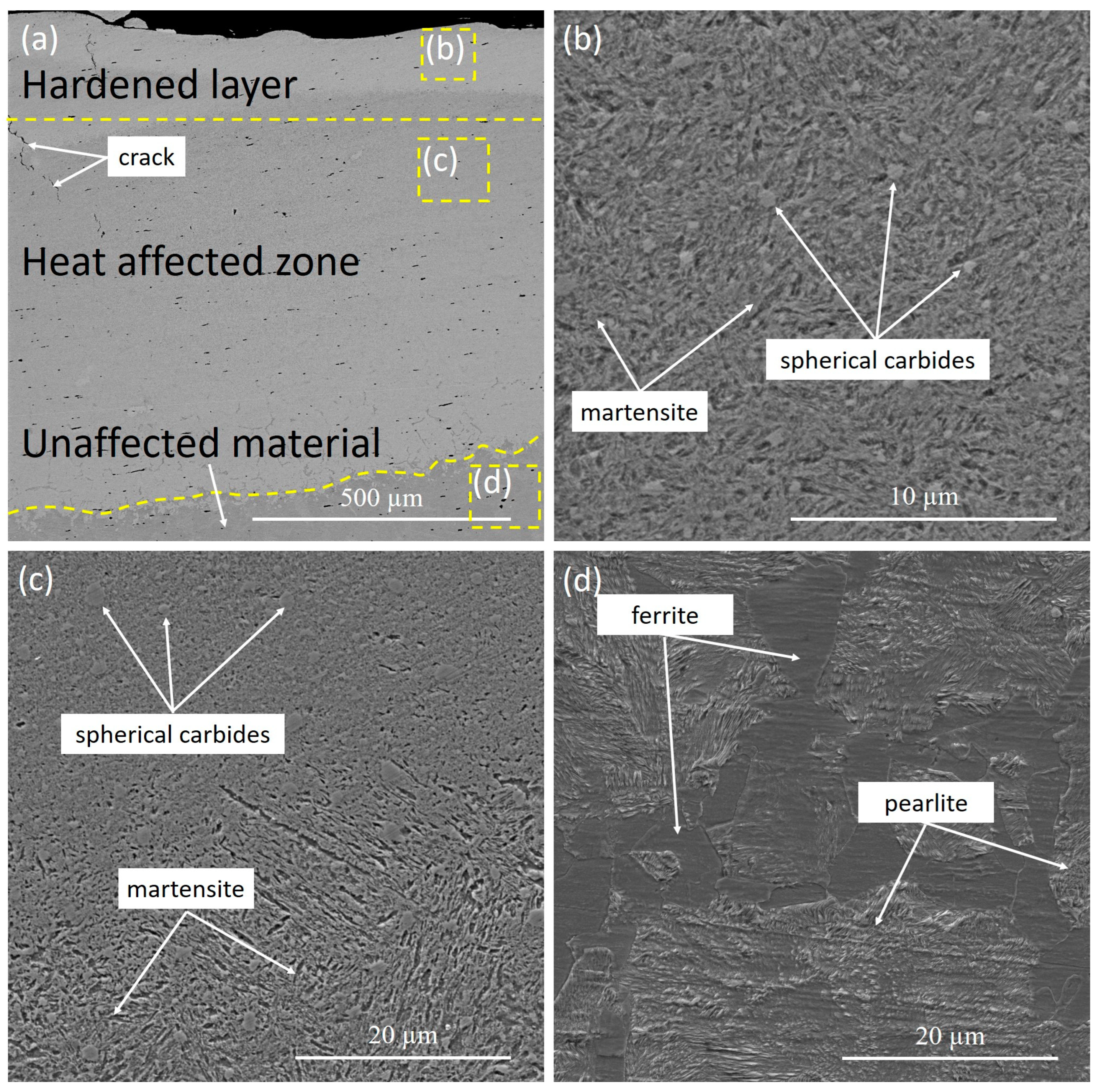 Coatings 13 01820 g004