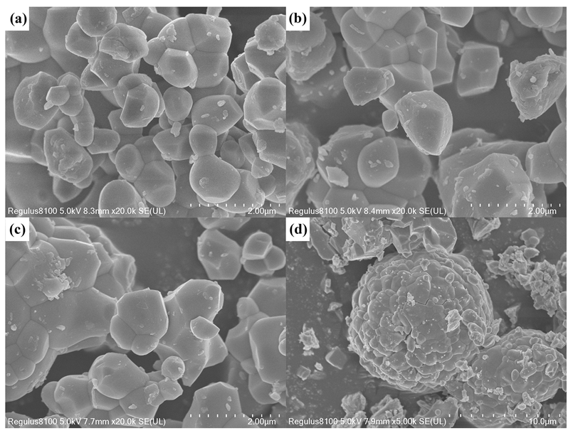 Coatings 13 01826 g005