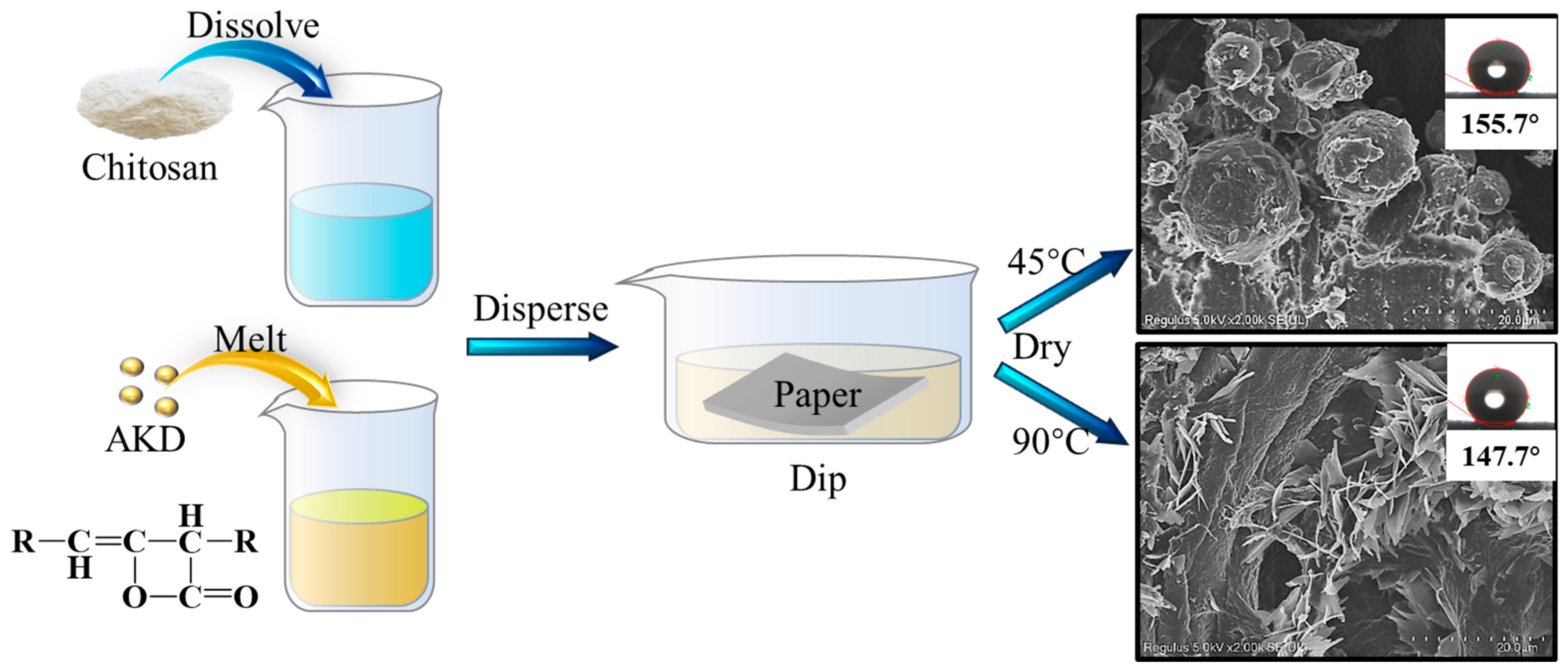 Coatings 13 01829 g001