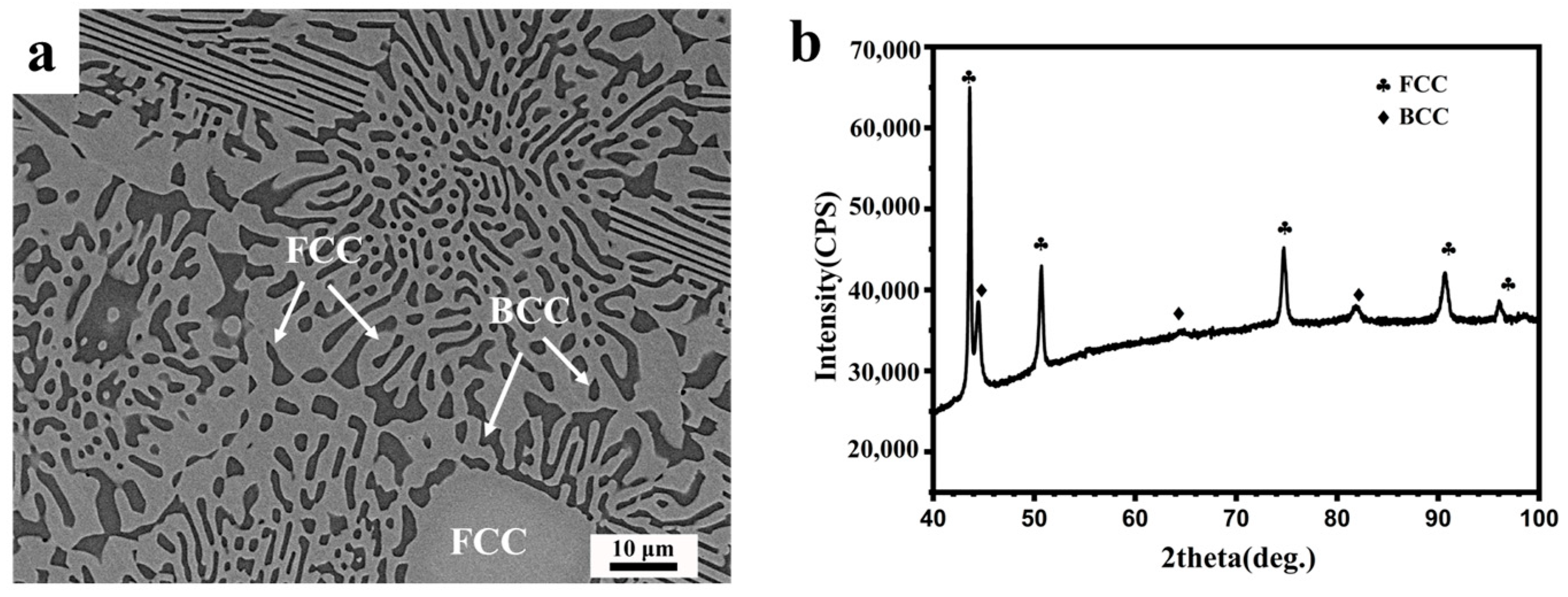 Coatings 13 01836 g001