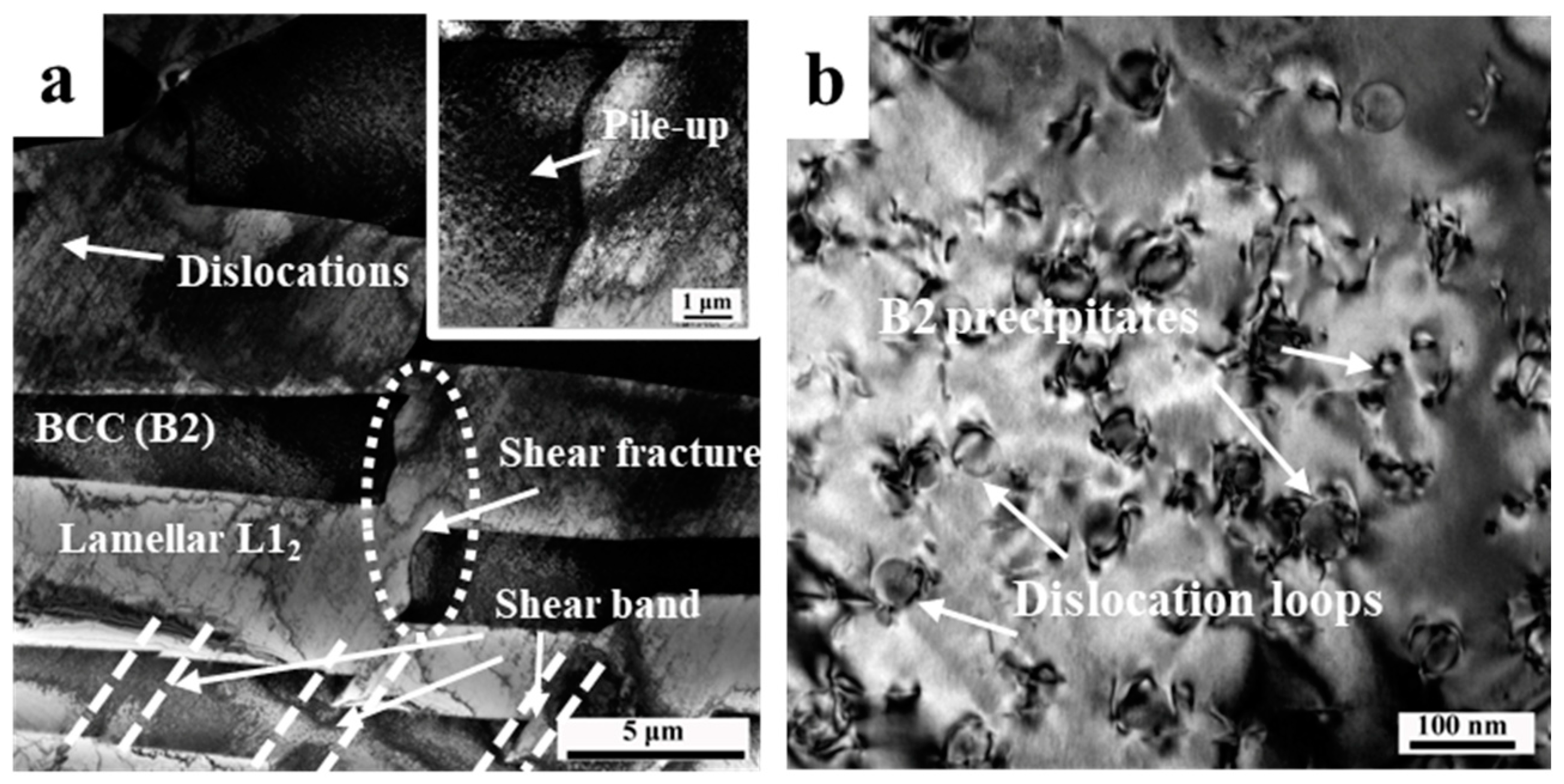 Coatings 13 01836 g004