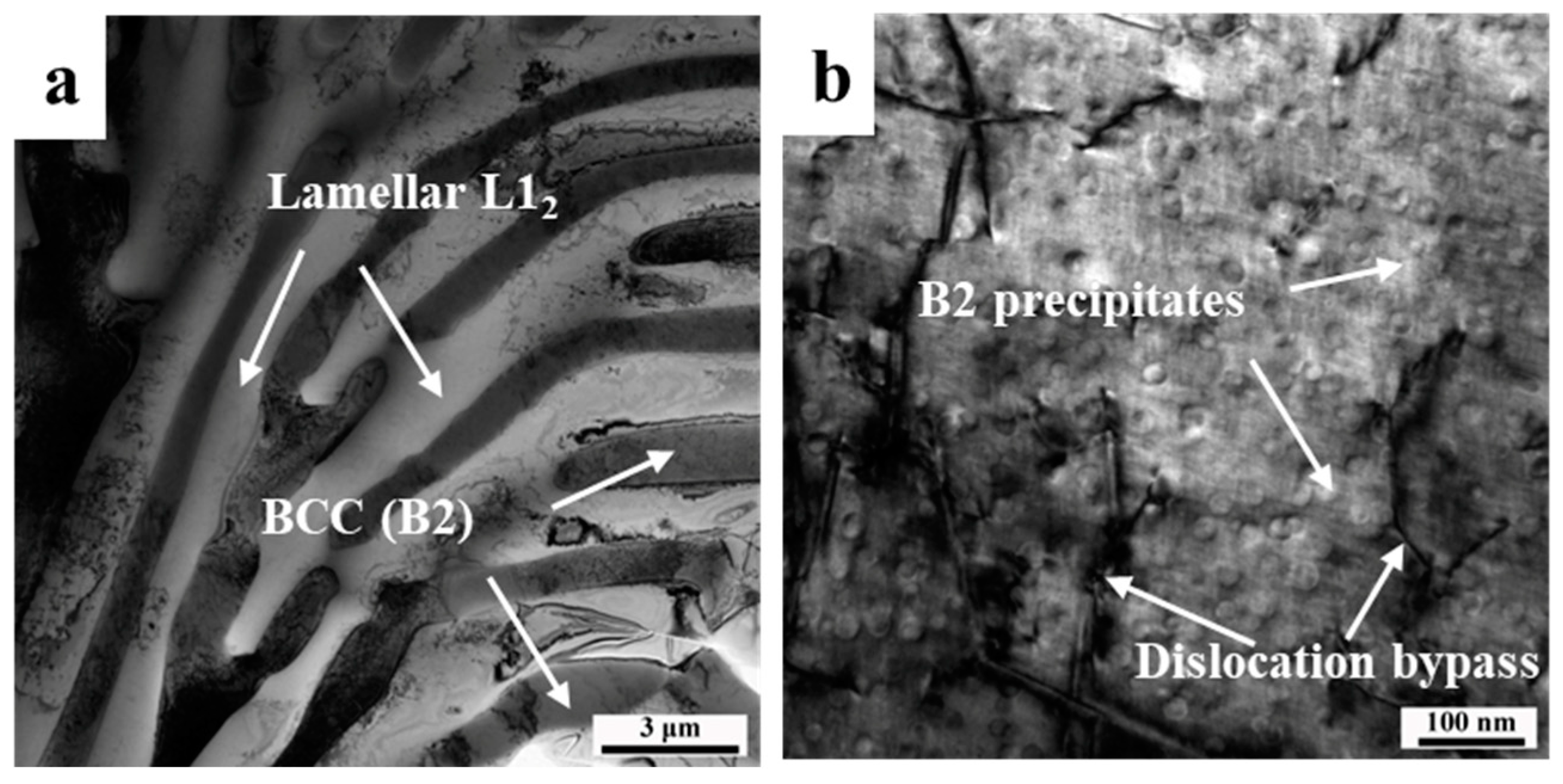 Coatings 13 01836 g005