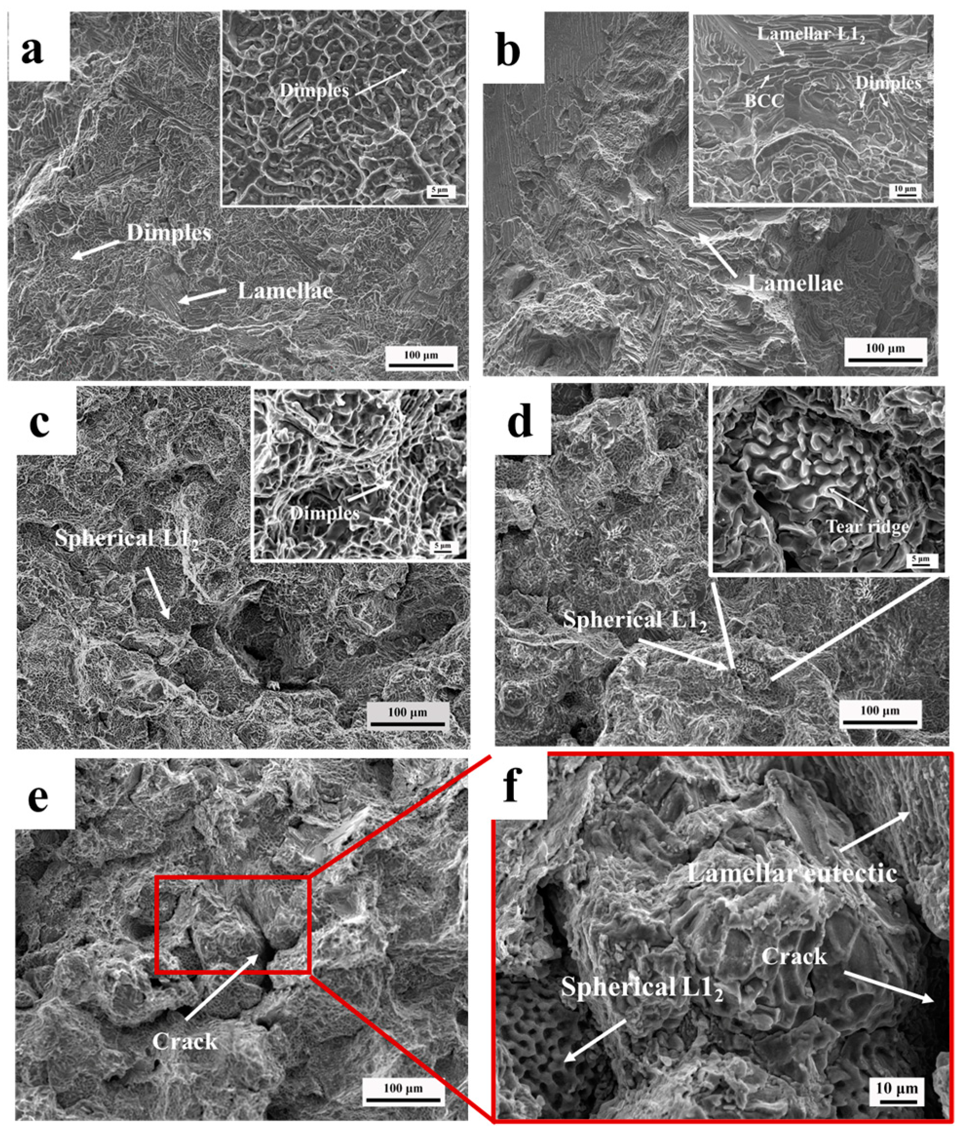 Coatings 13 01836 g009