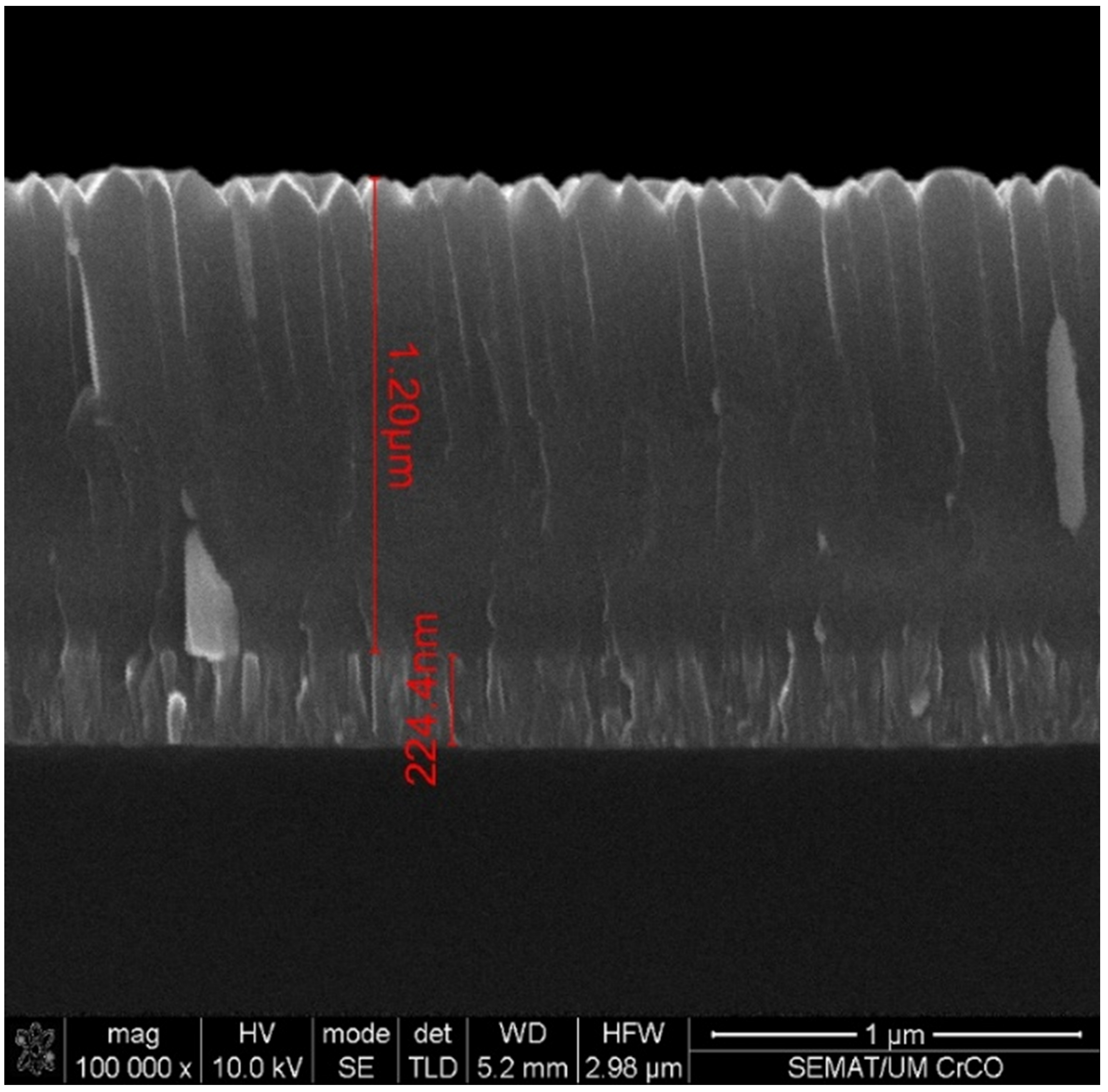 Coatings 13 01838 g005