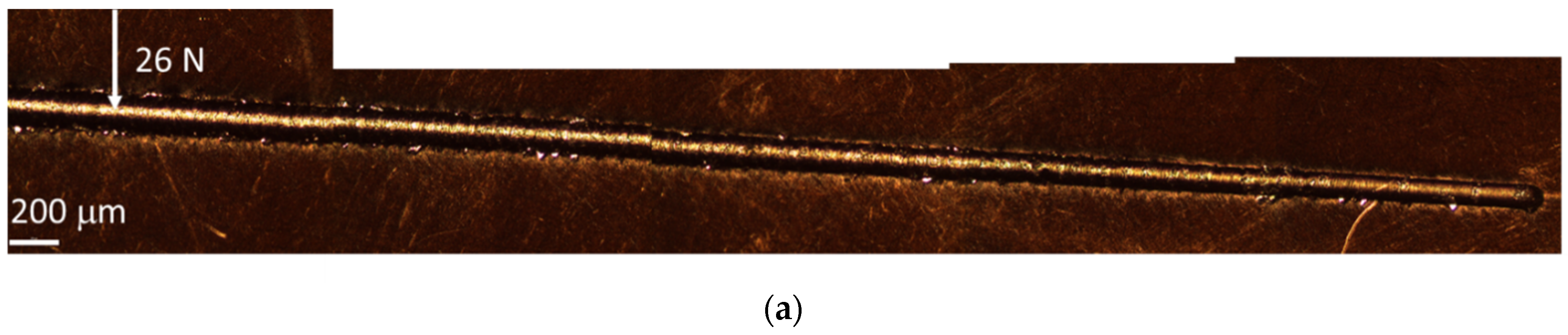 Coatings 13 01838 g008a