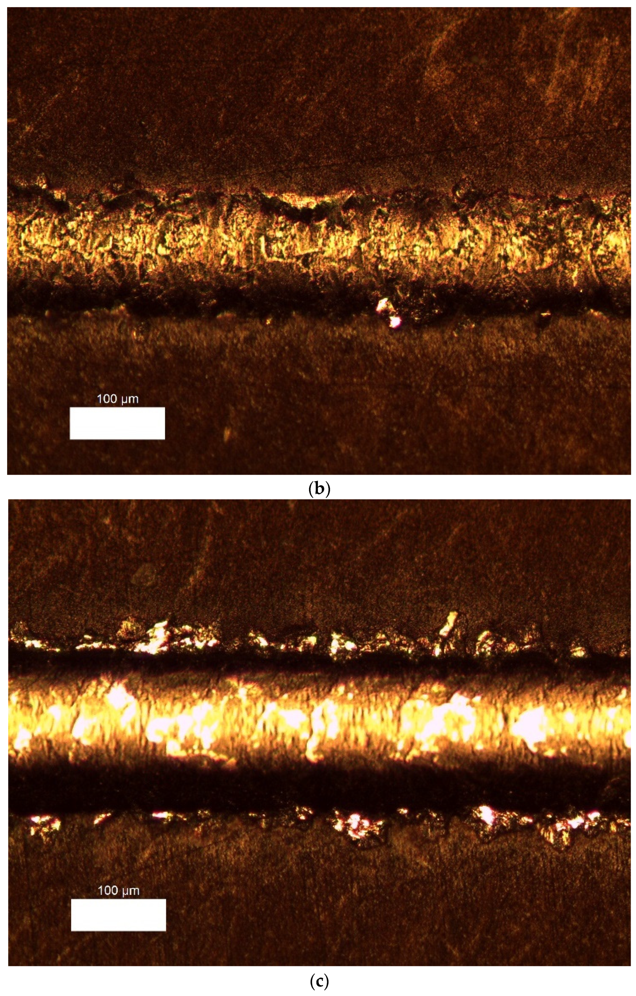 Coatings 13 01838 g008b