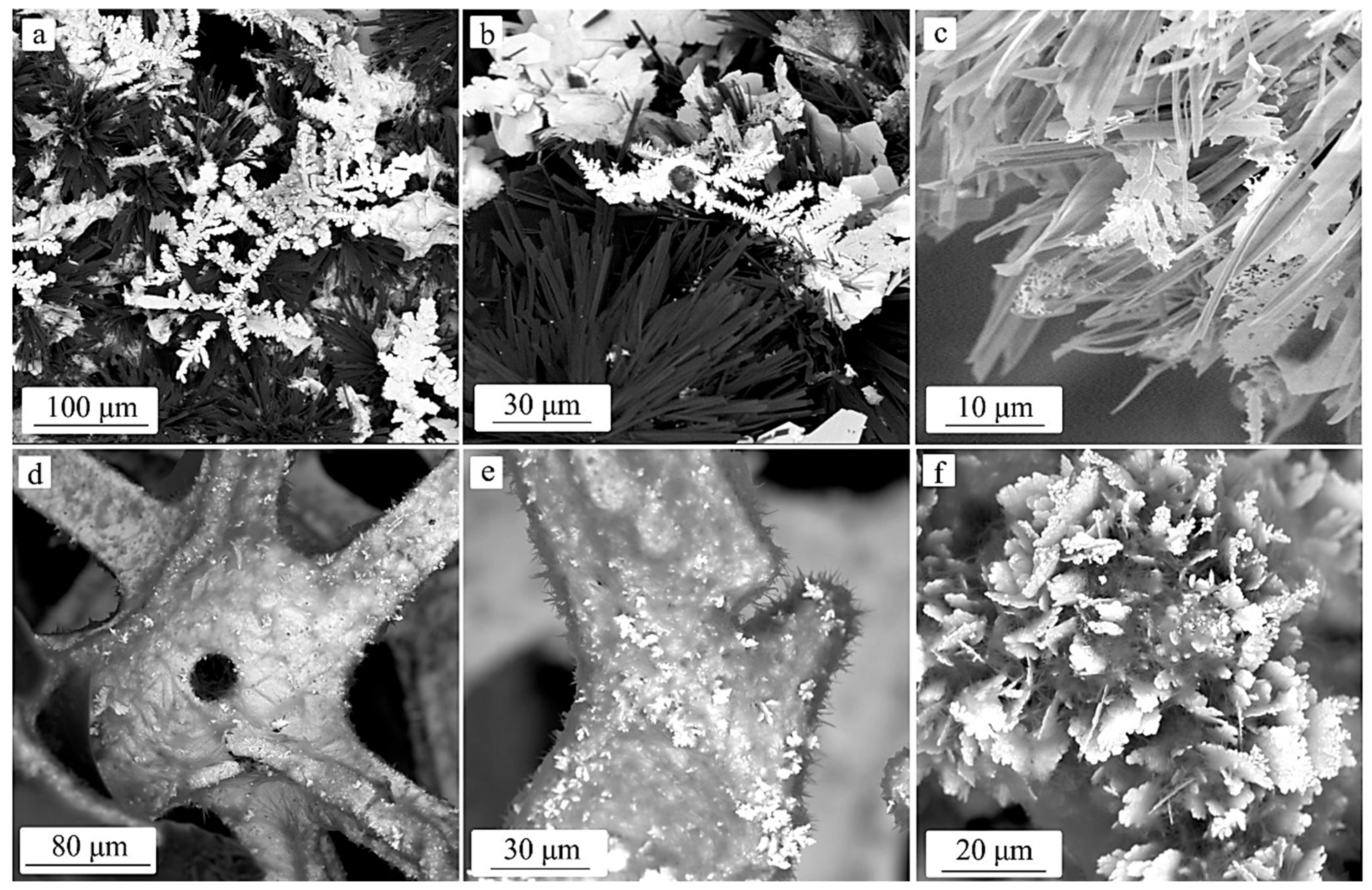 Coatings 13 01851 g002