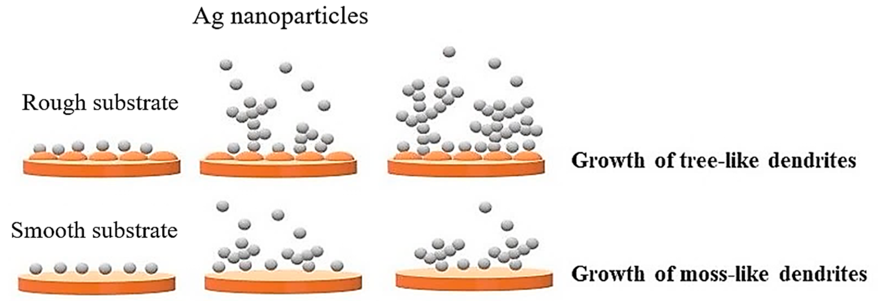 Coatings 13 01851 g003