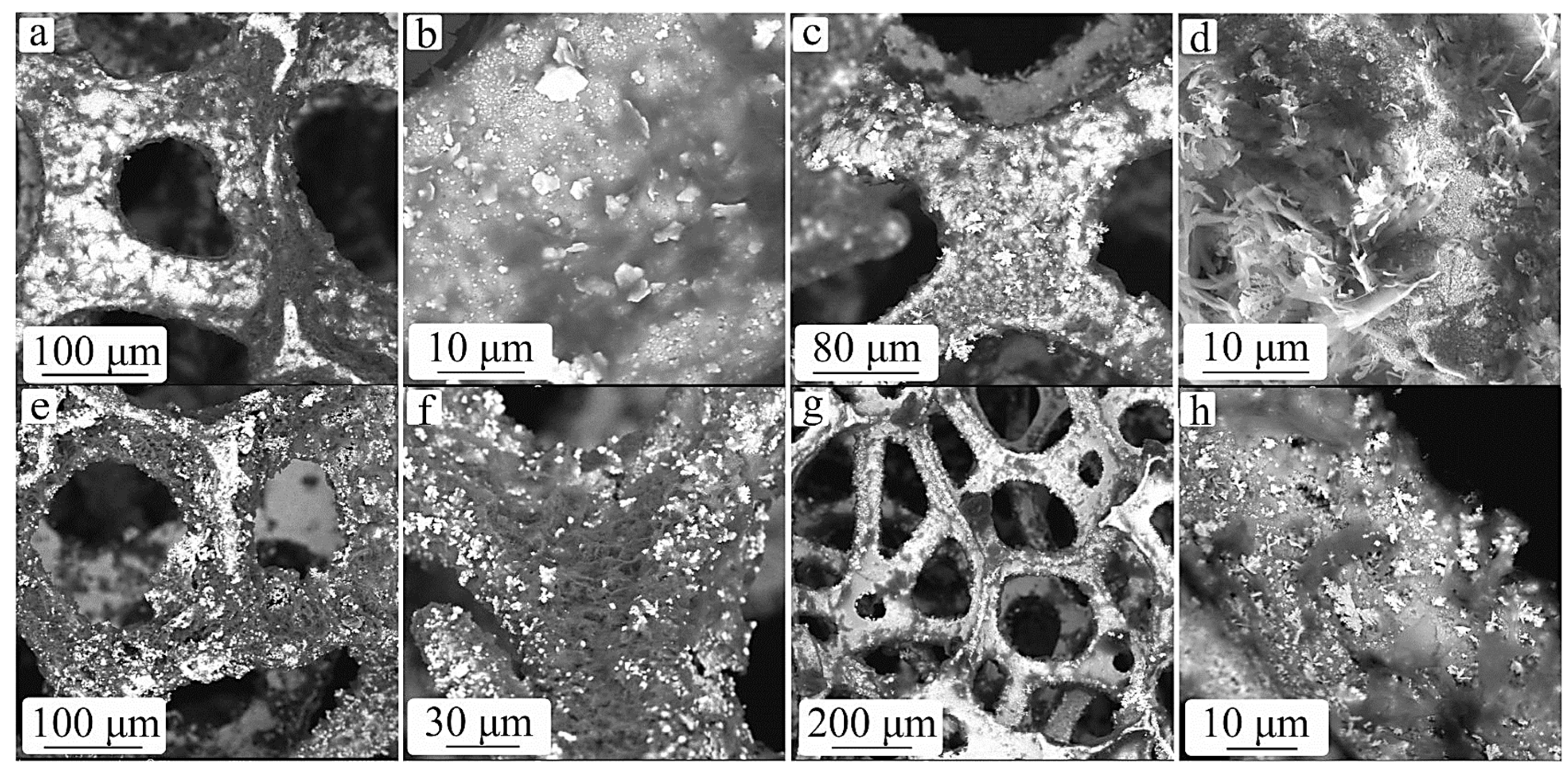 Coatings 13 01851 g006