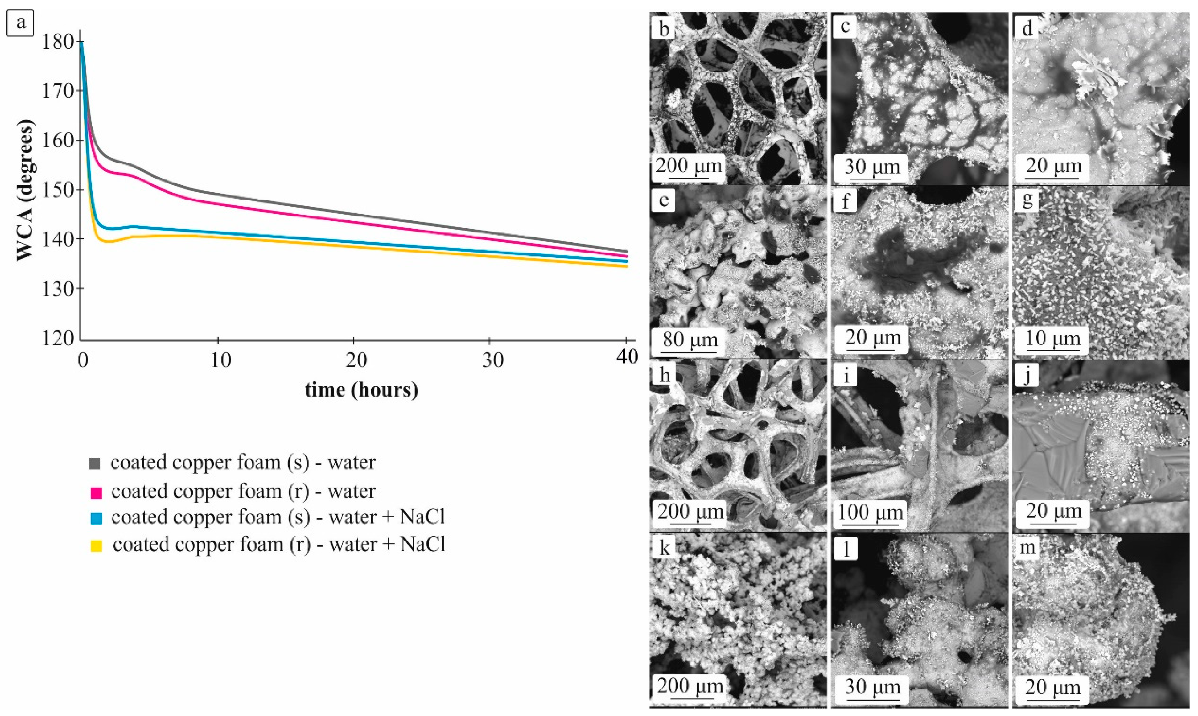 Coatings 13 01851 g008