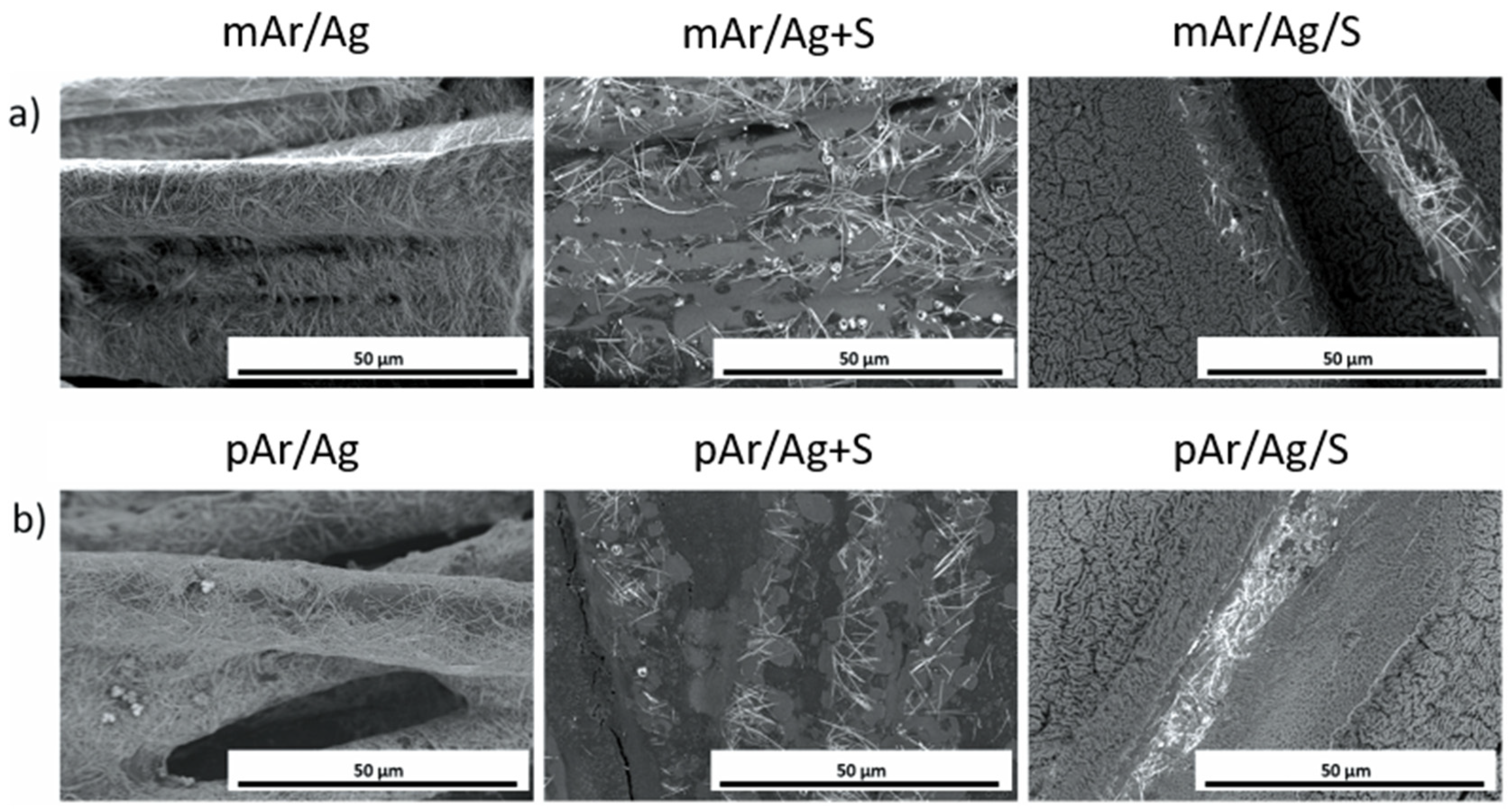 Coatings 13 01852 g003