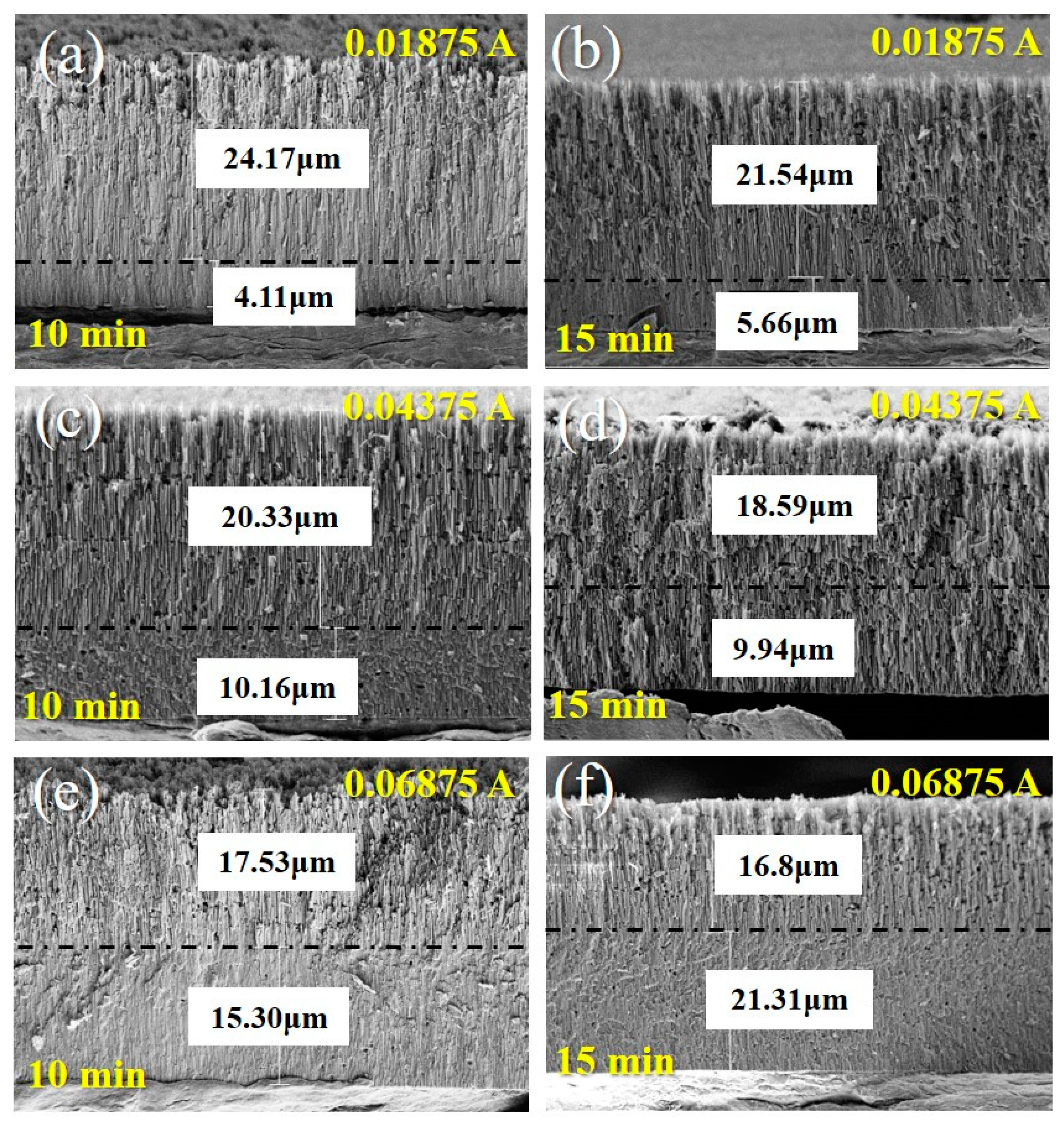Coatings 13 01859 g003