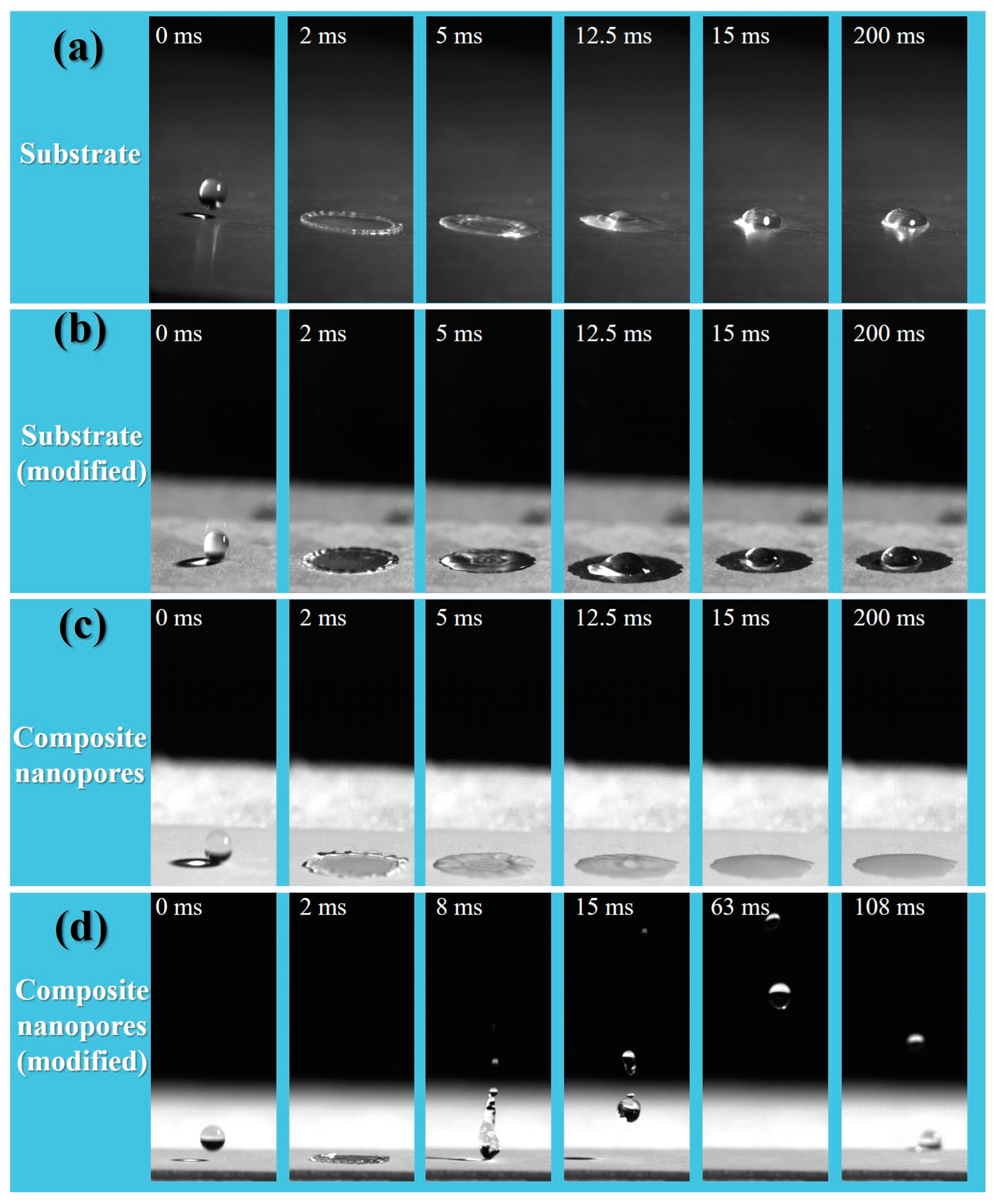 Coatings 13 01859 g008