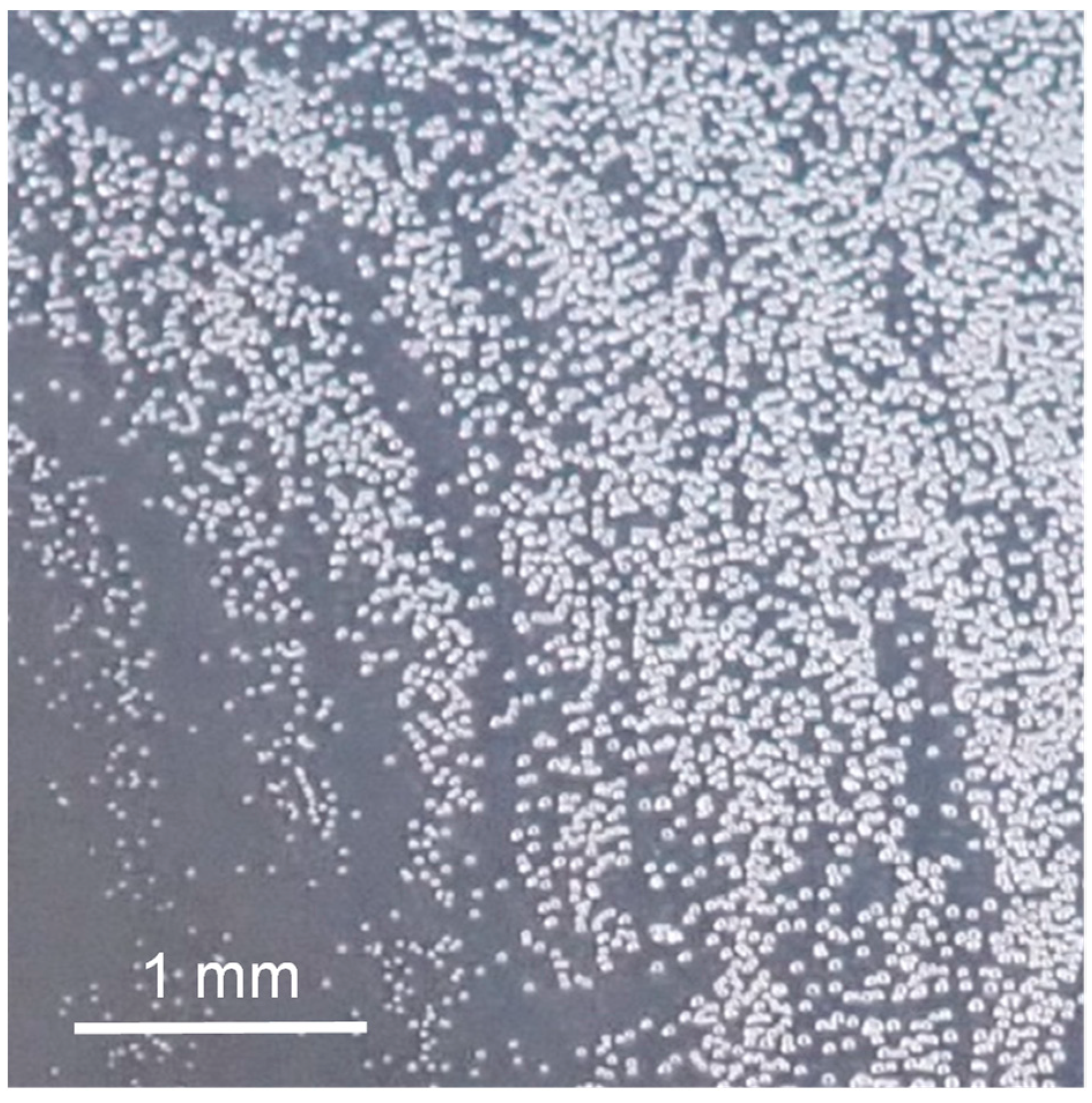 Coatings 13 01860 g008