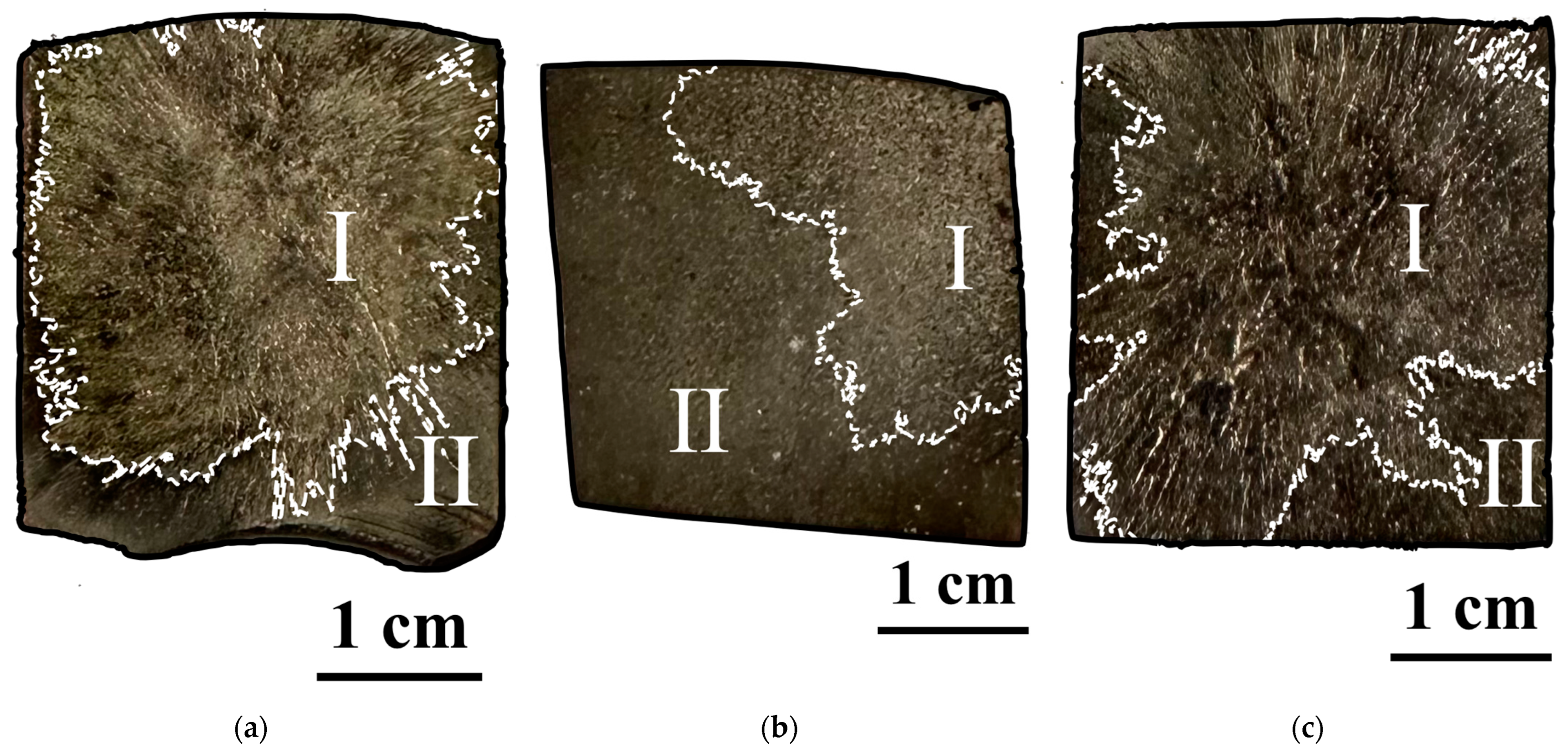 Coatings 13 01867 g003