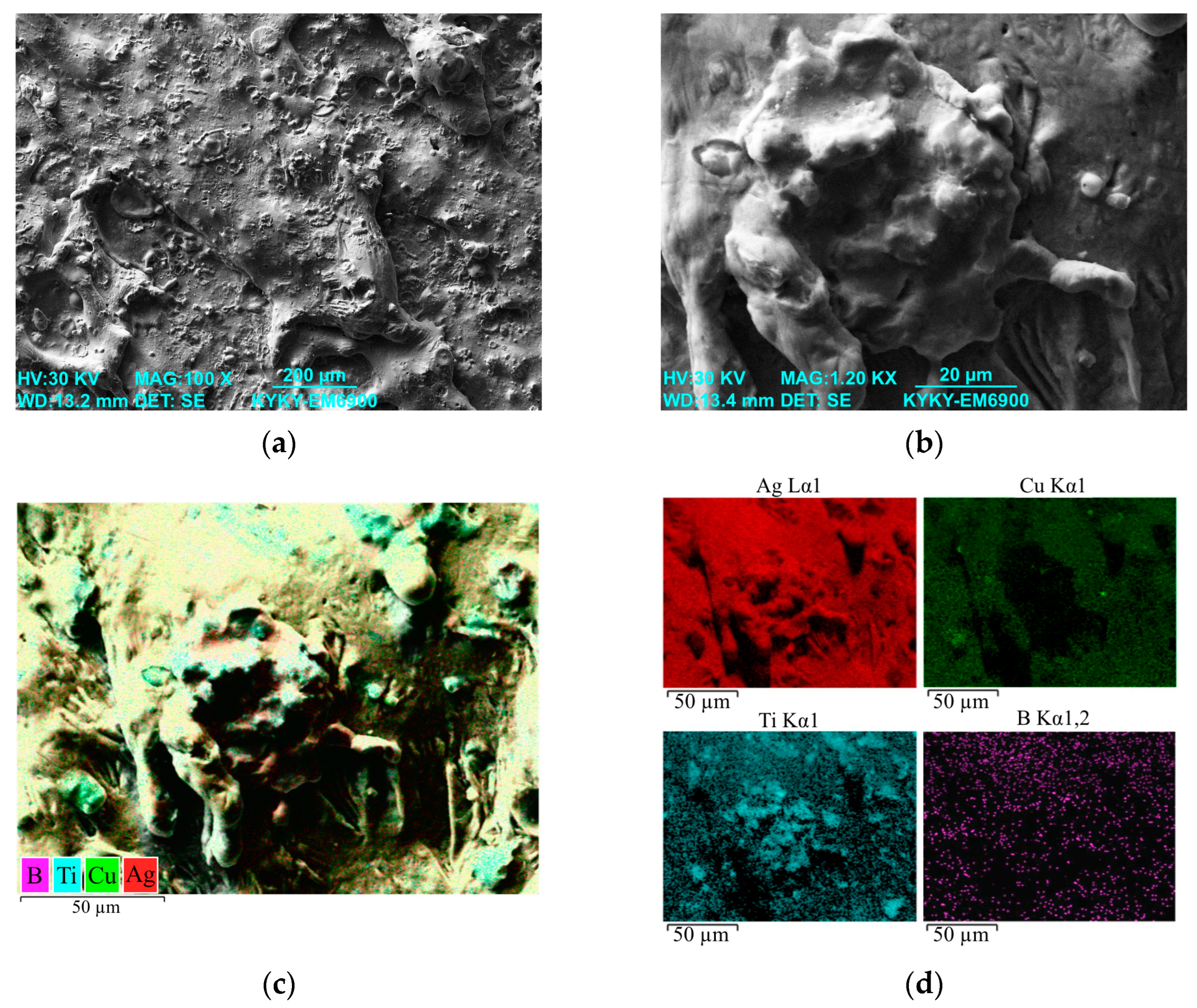 Coatings 13 01867 g004