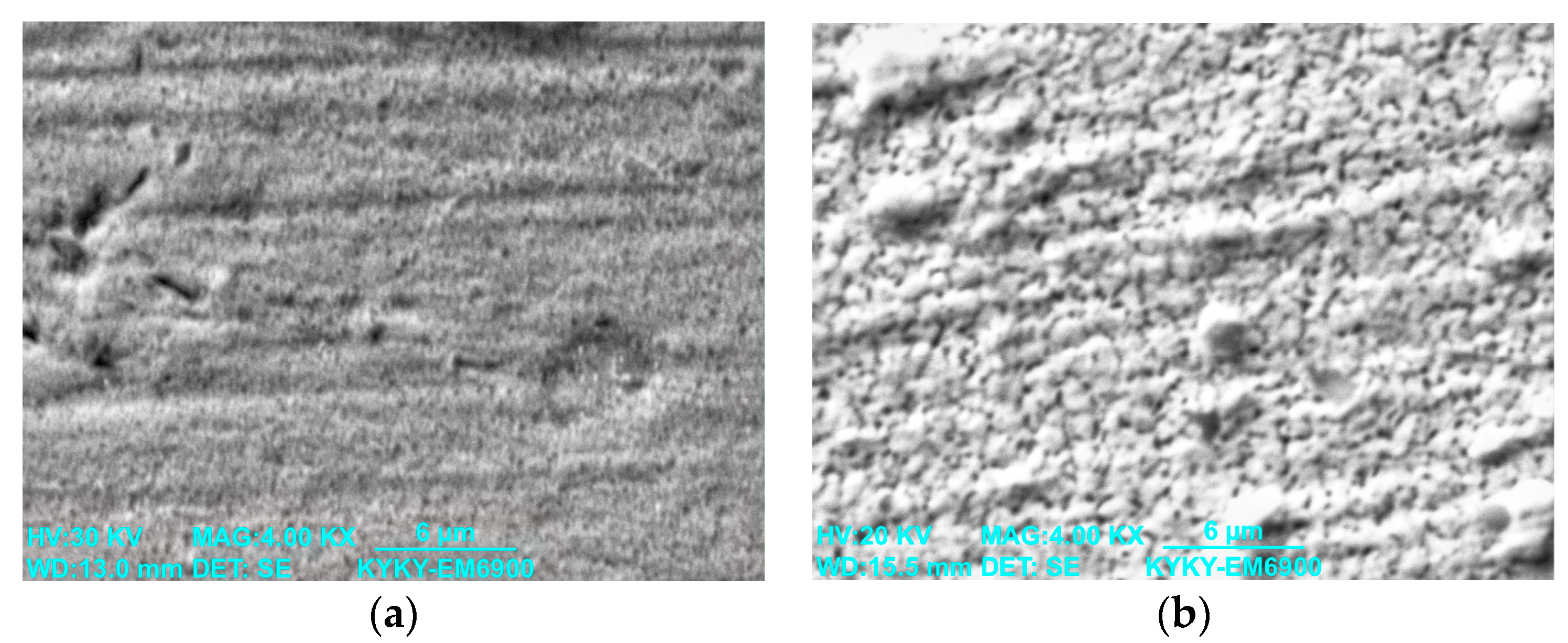 Coatings 13 01867 g008