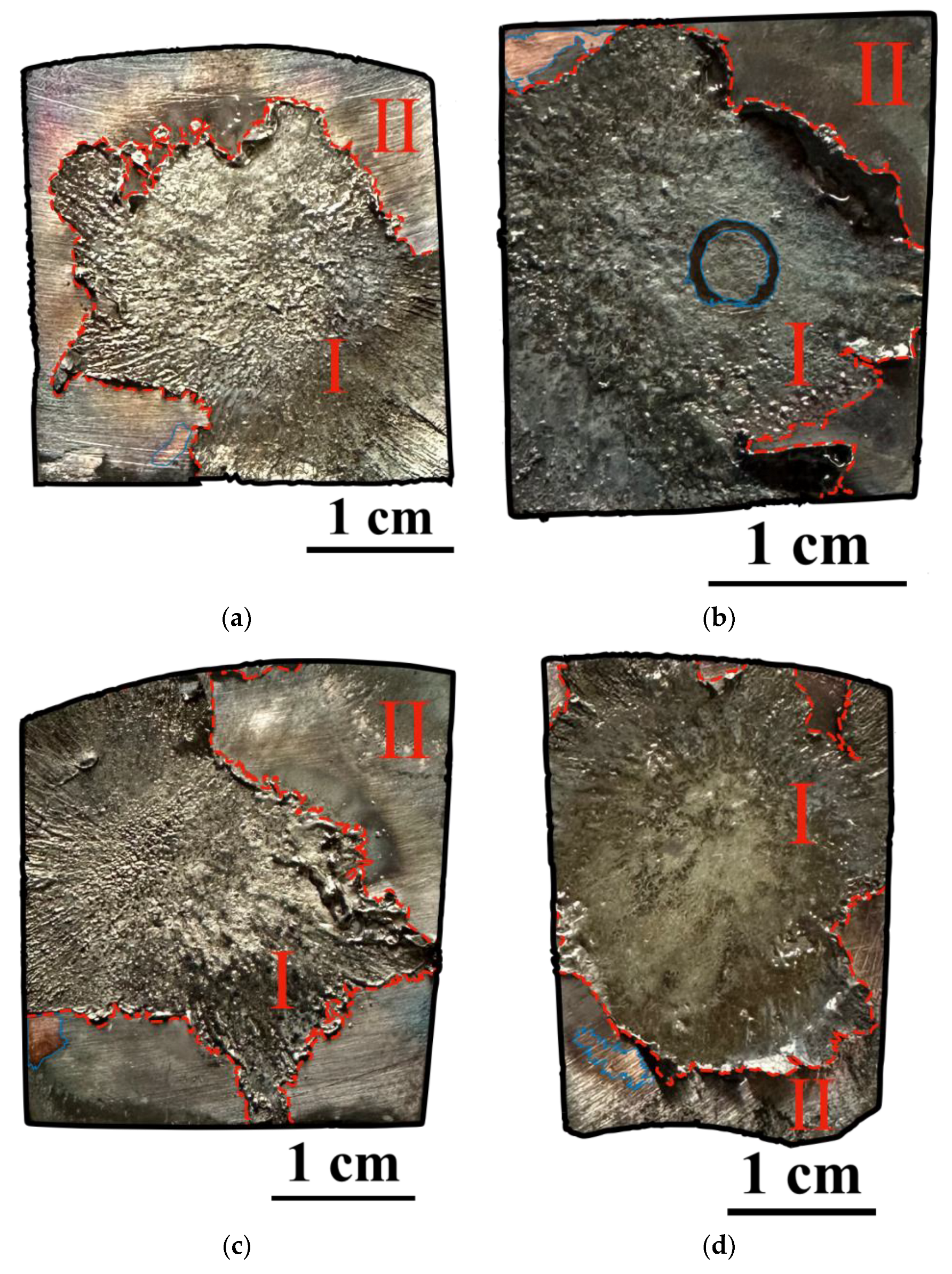 Coatings 13 01867 g011