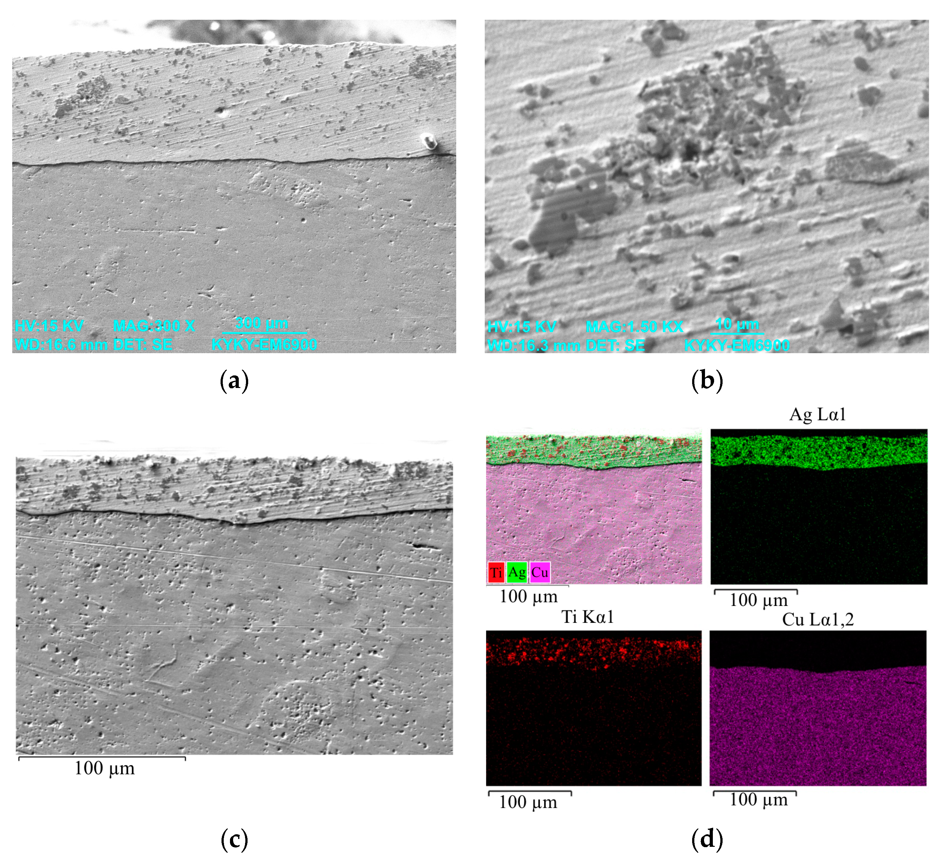 Coatings 13 01867 g015