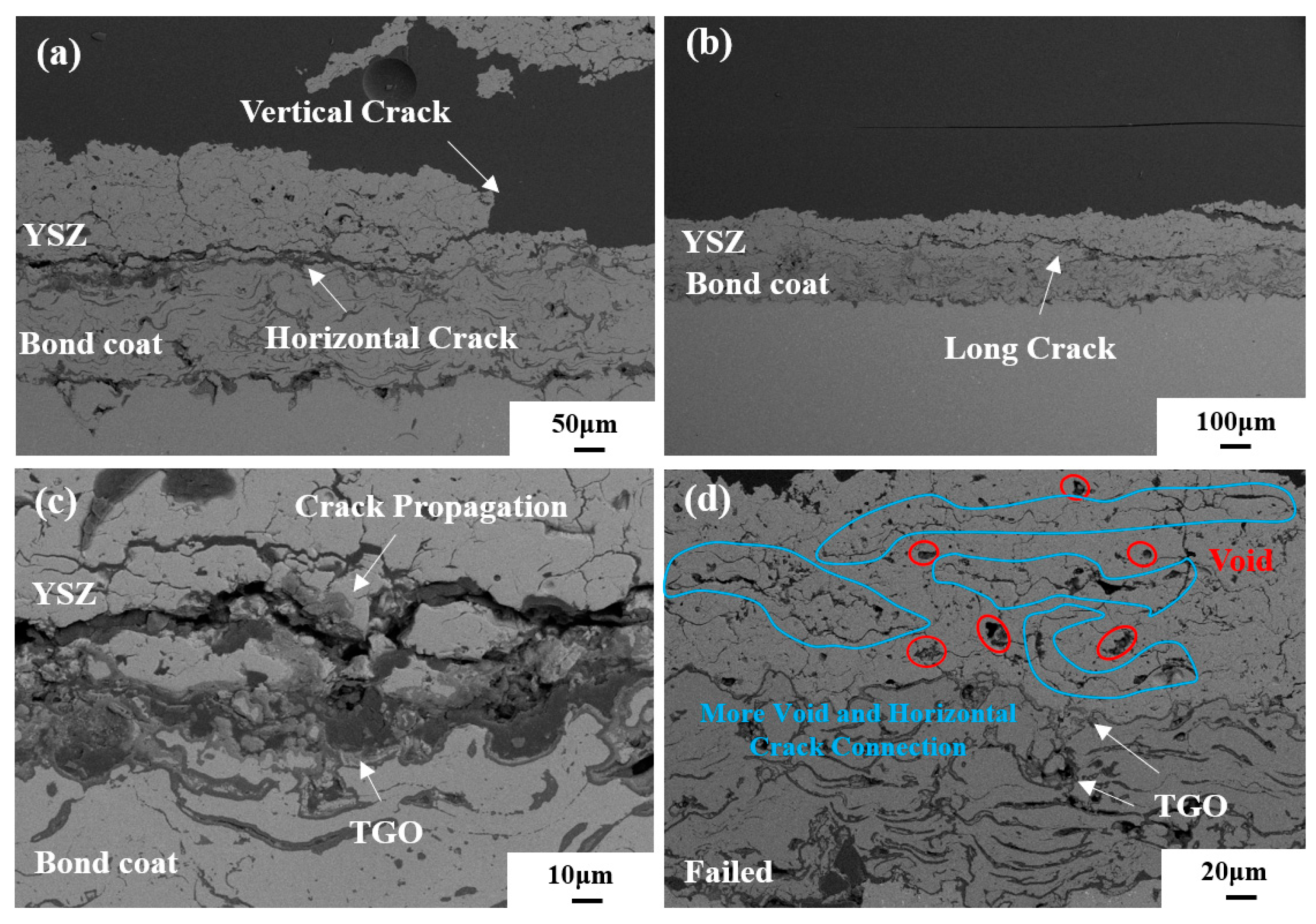 Coatings 13 01868 g004