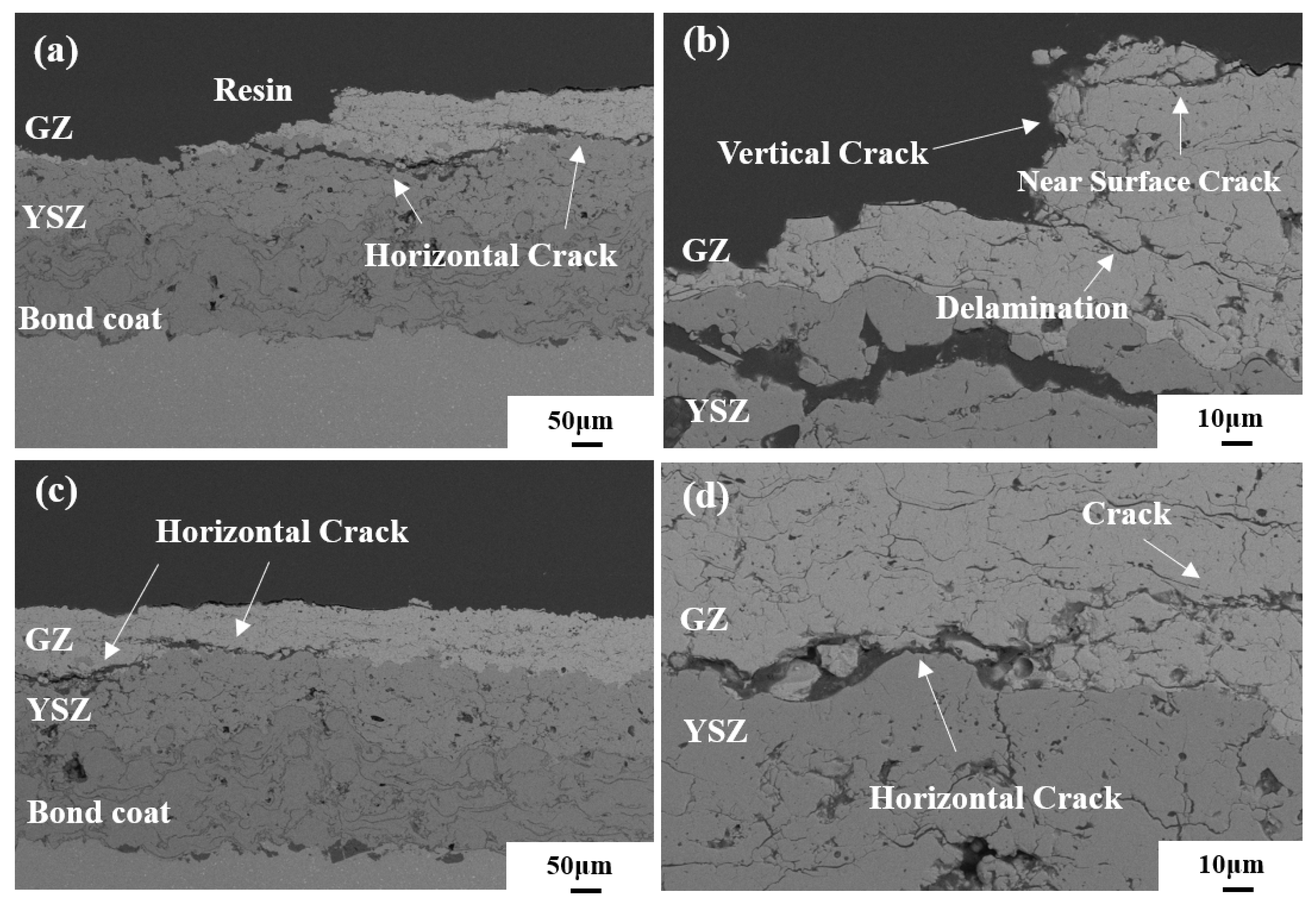 Coatings 13 01868 g005