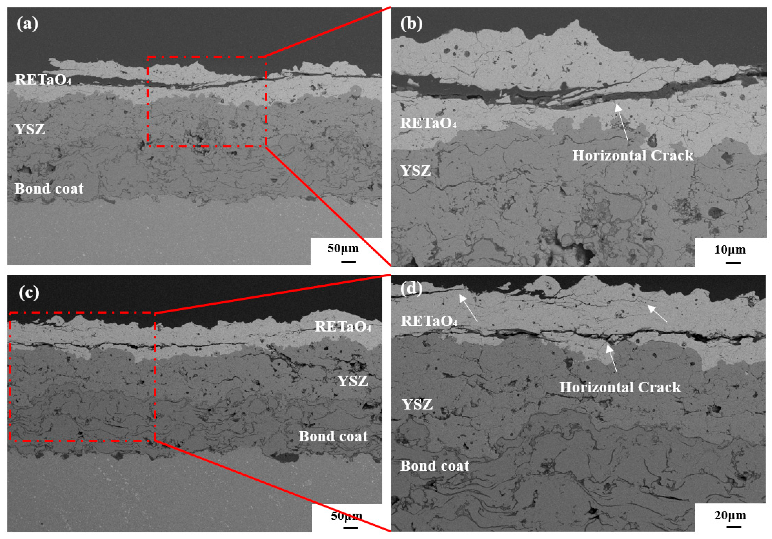 Coatings 13 01868 g006