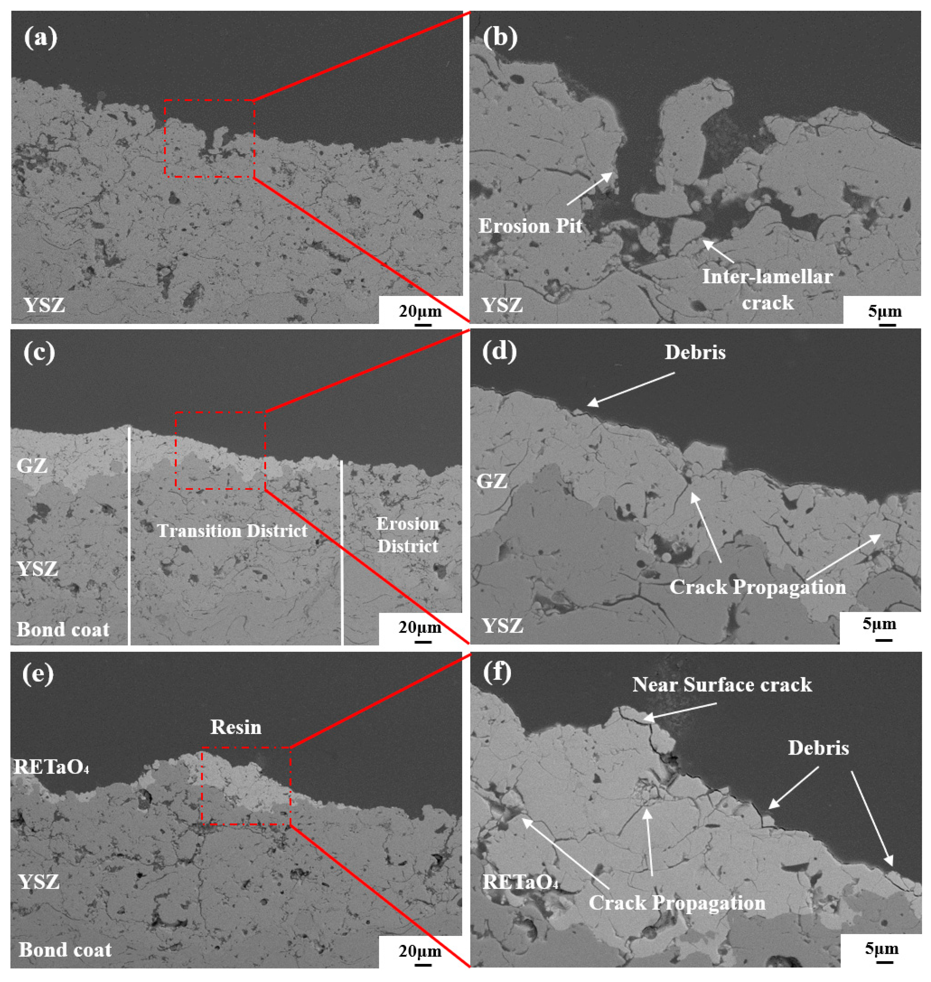 Coatings 13 01868 g008