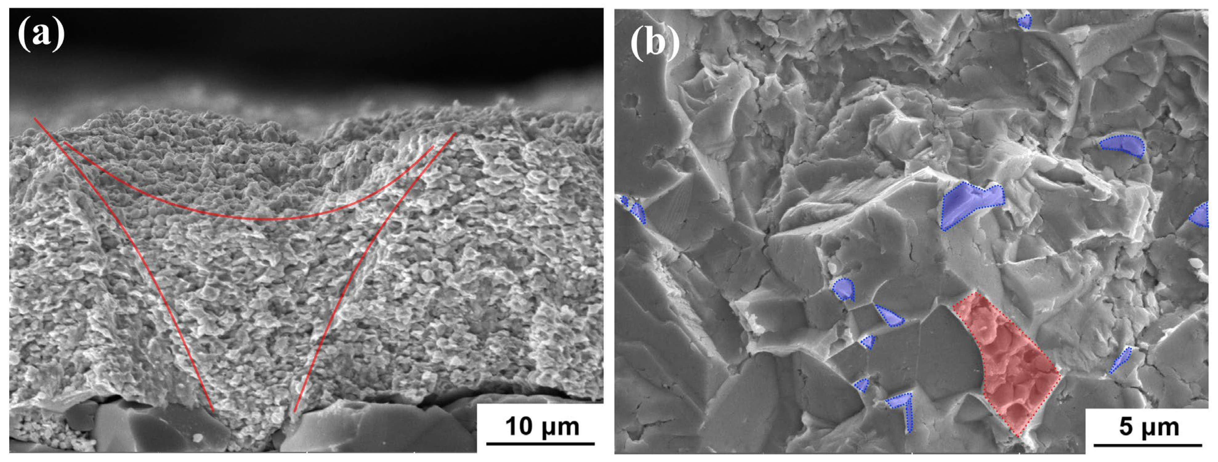 Coatings 13 01870 g011