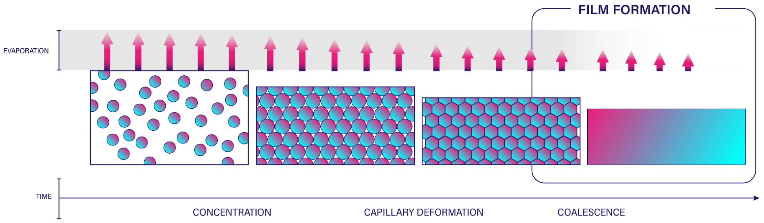 Coatings 13 01873 g003