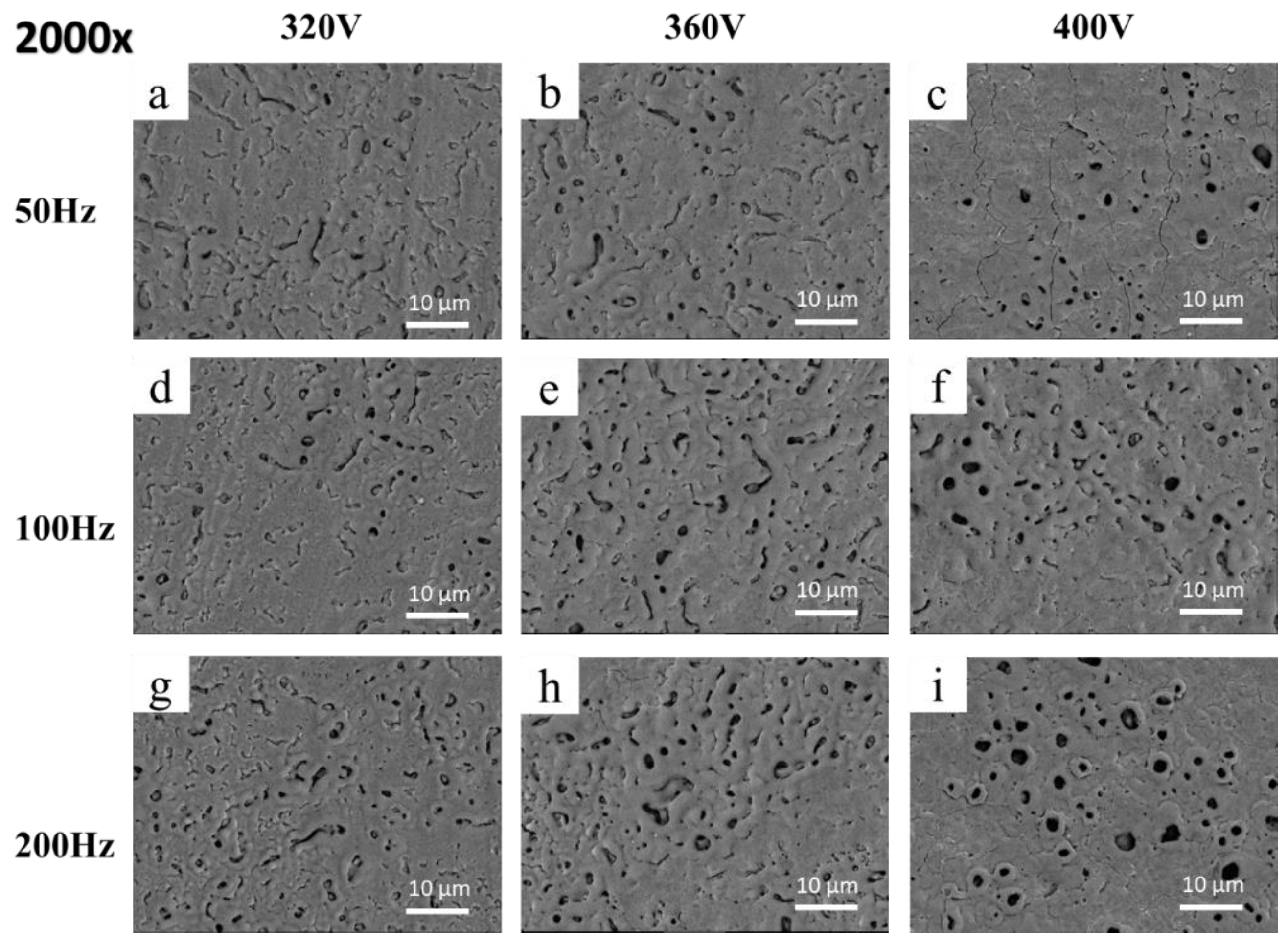 Coatings 13 01874 g003