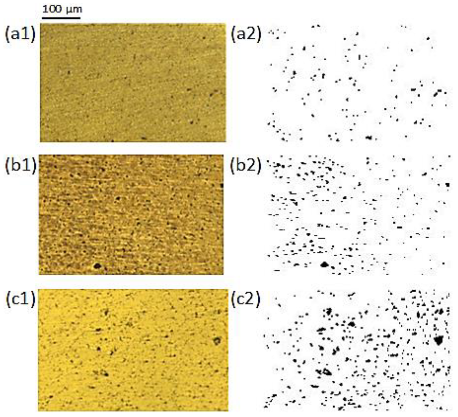 Coatings 13 01876 g004