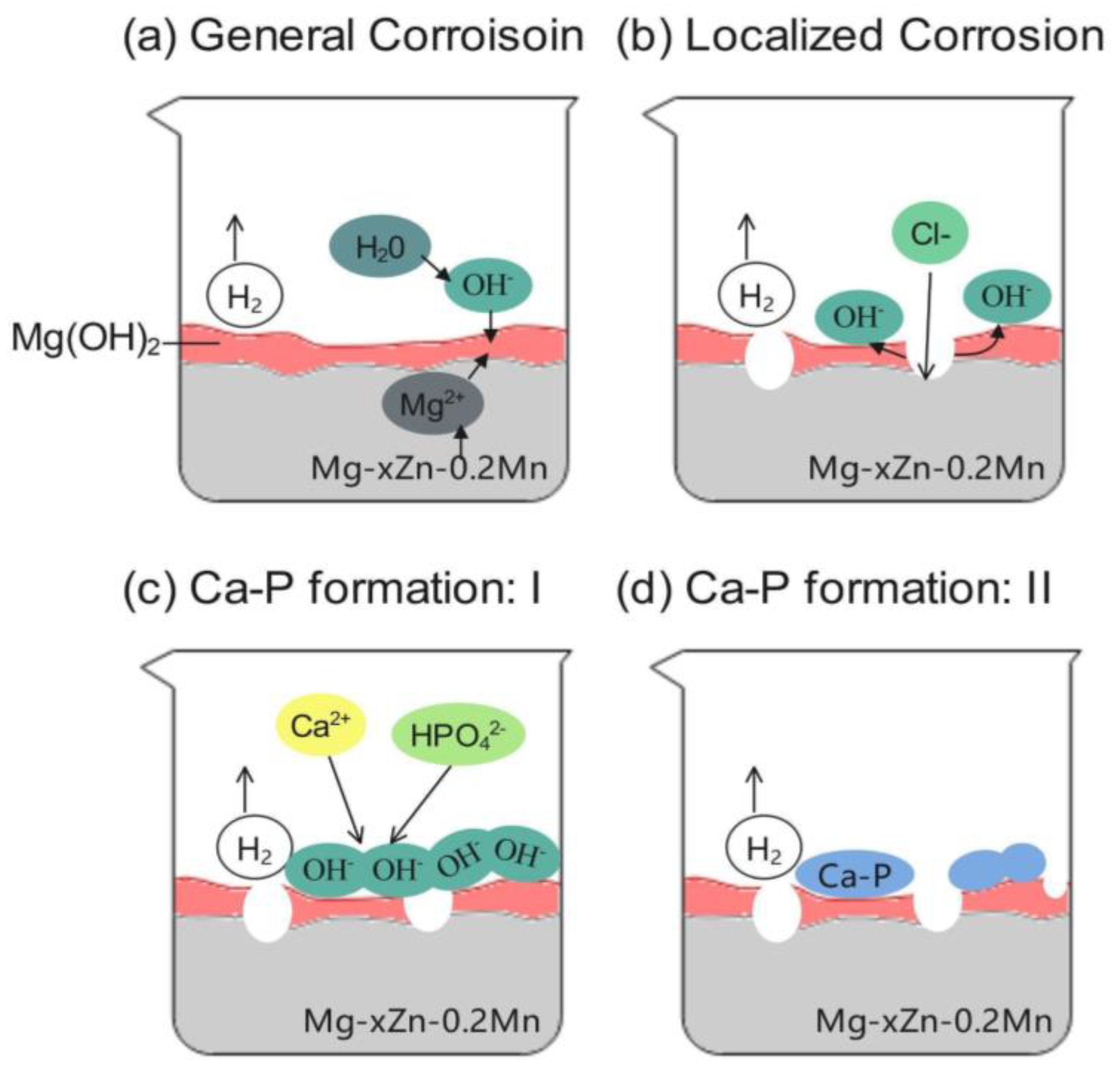 Coatings 13 01876 g009