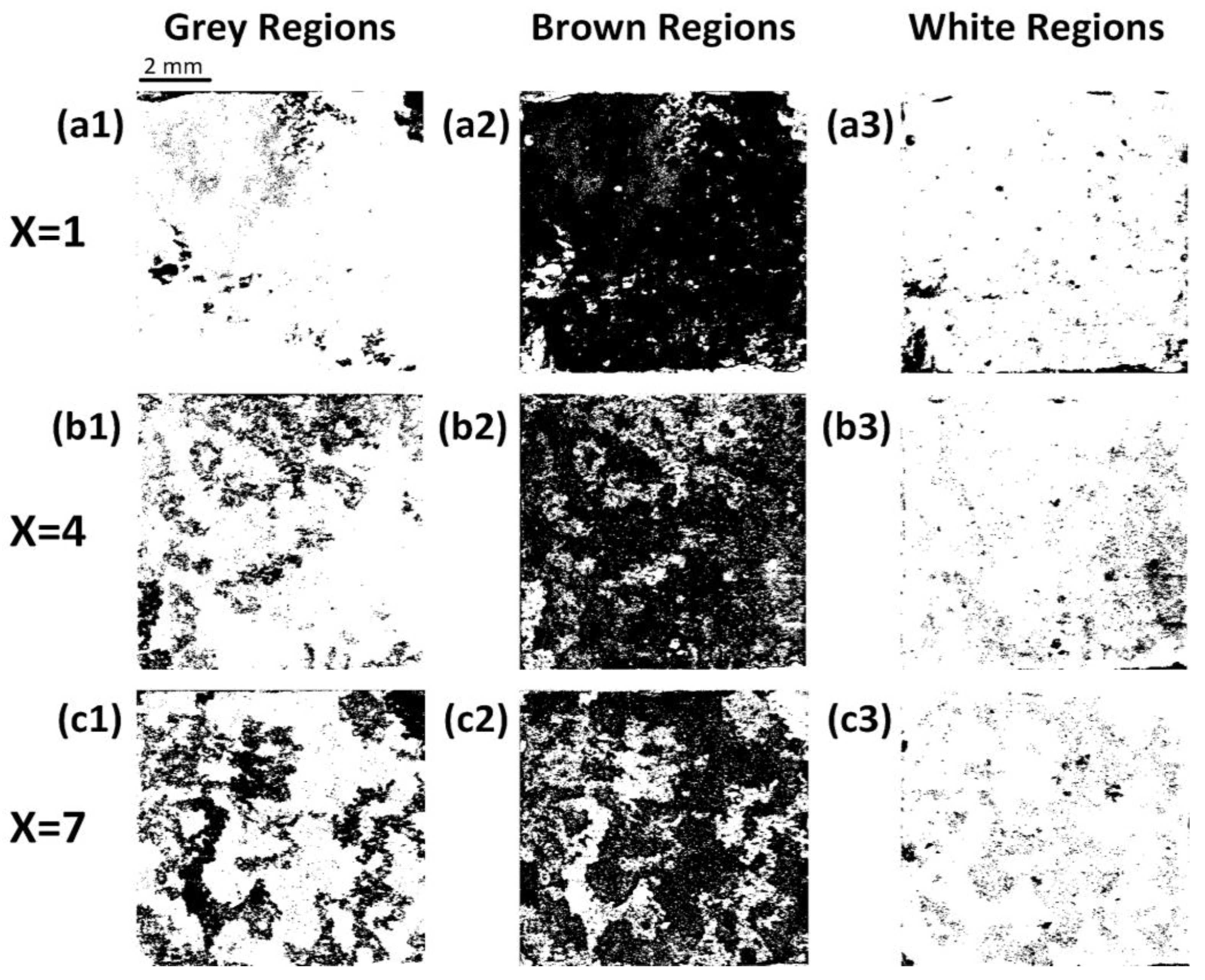 Coatings 13 01876 g011