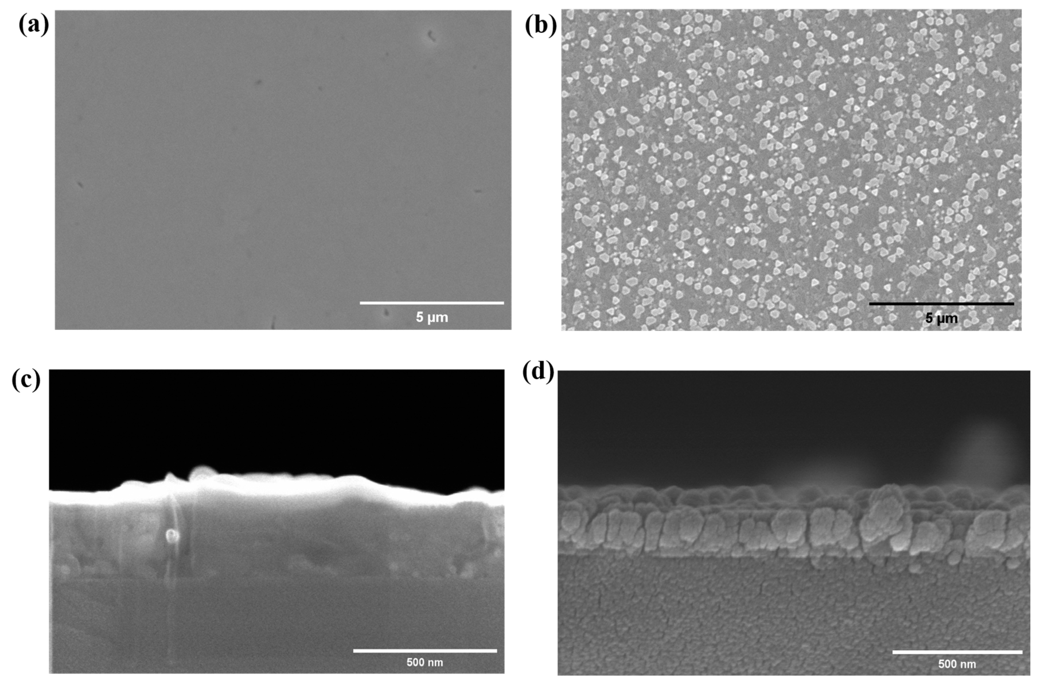 Coatings 13 01878 g003