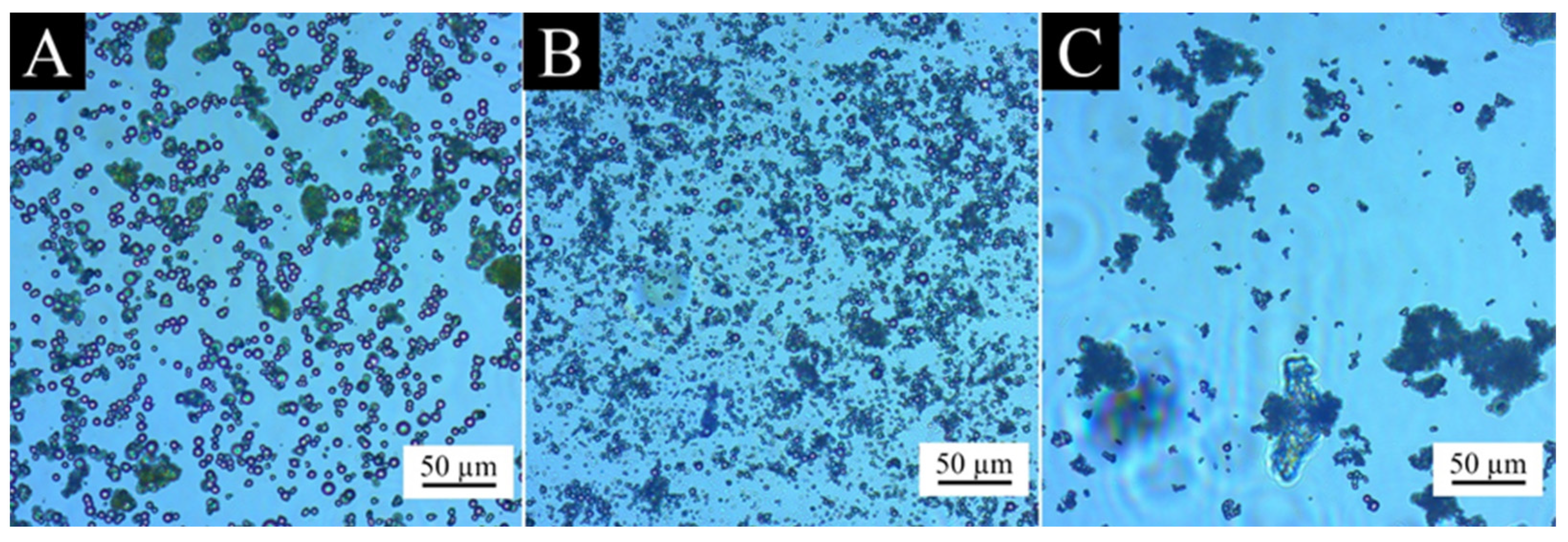Coatings 13 01880 g003