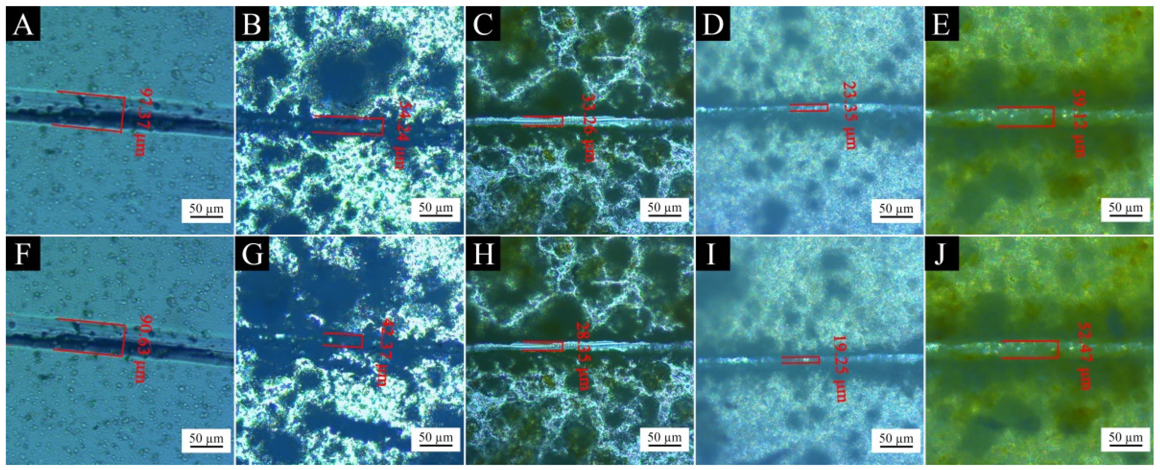 Coatings 13 01880 g016