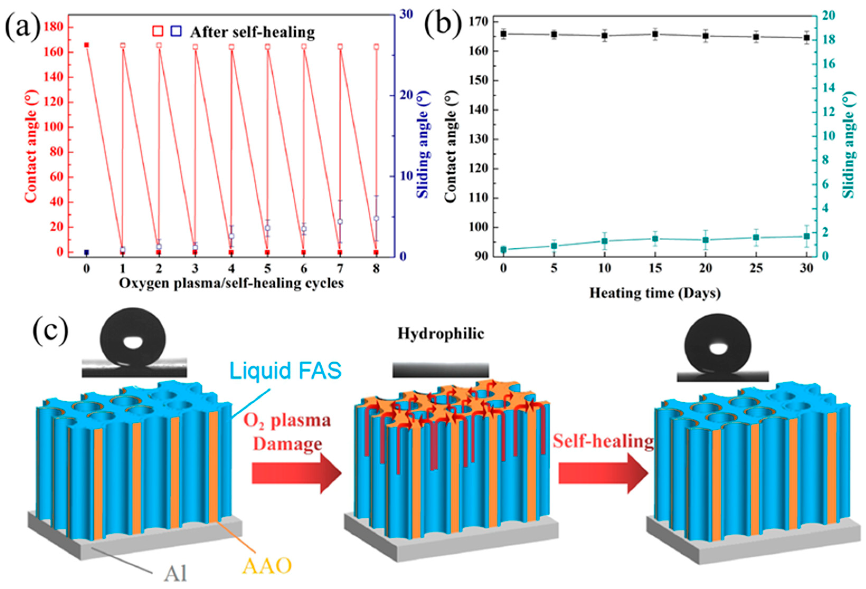 Coatings 13 01881 g008