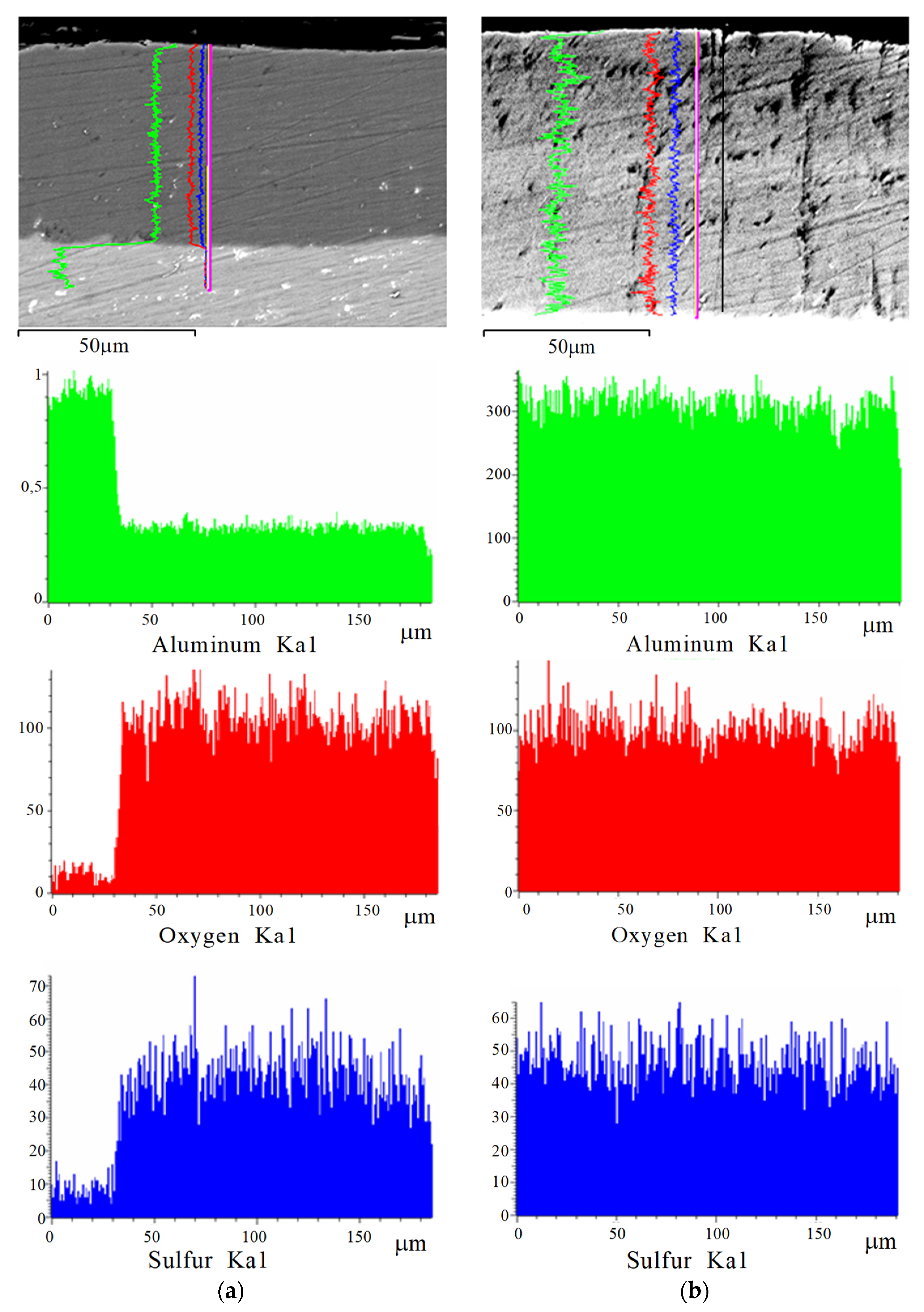 Coatings 13 01883 g006